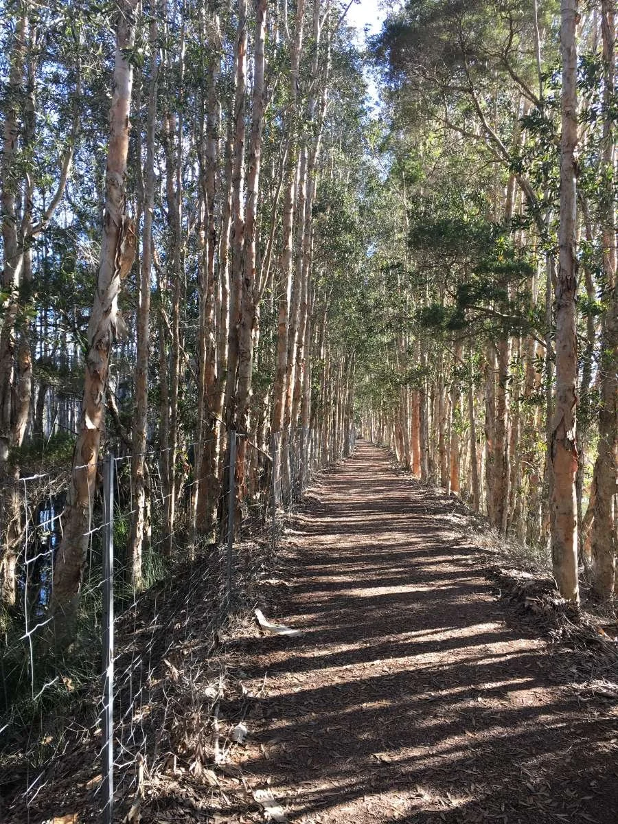 DGLV walking track.jpg