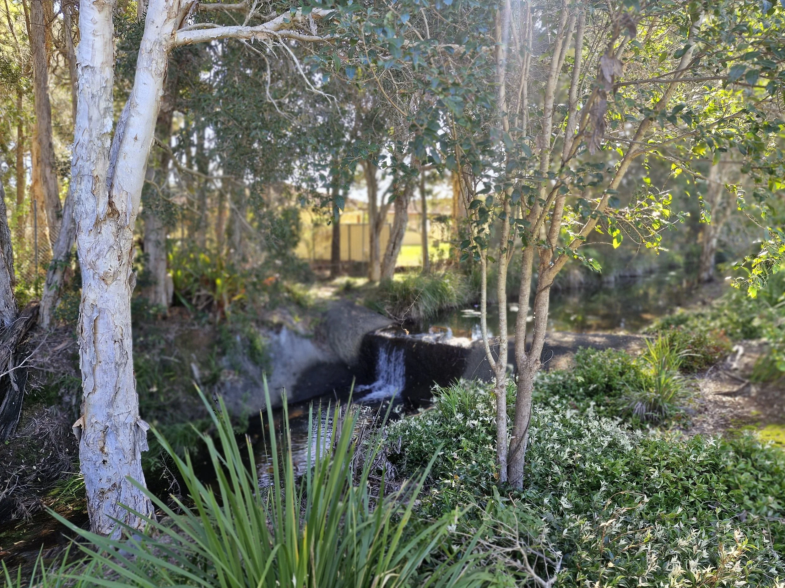 Waterfall.jpg