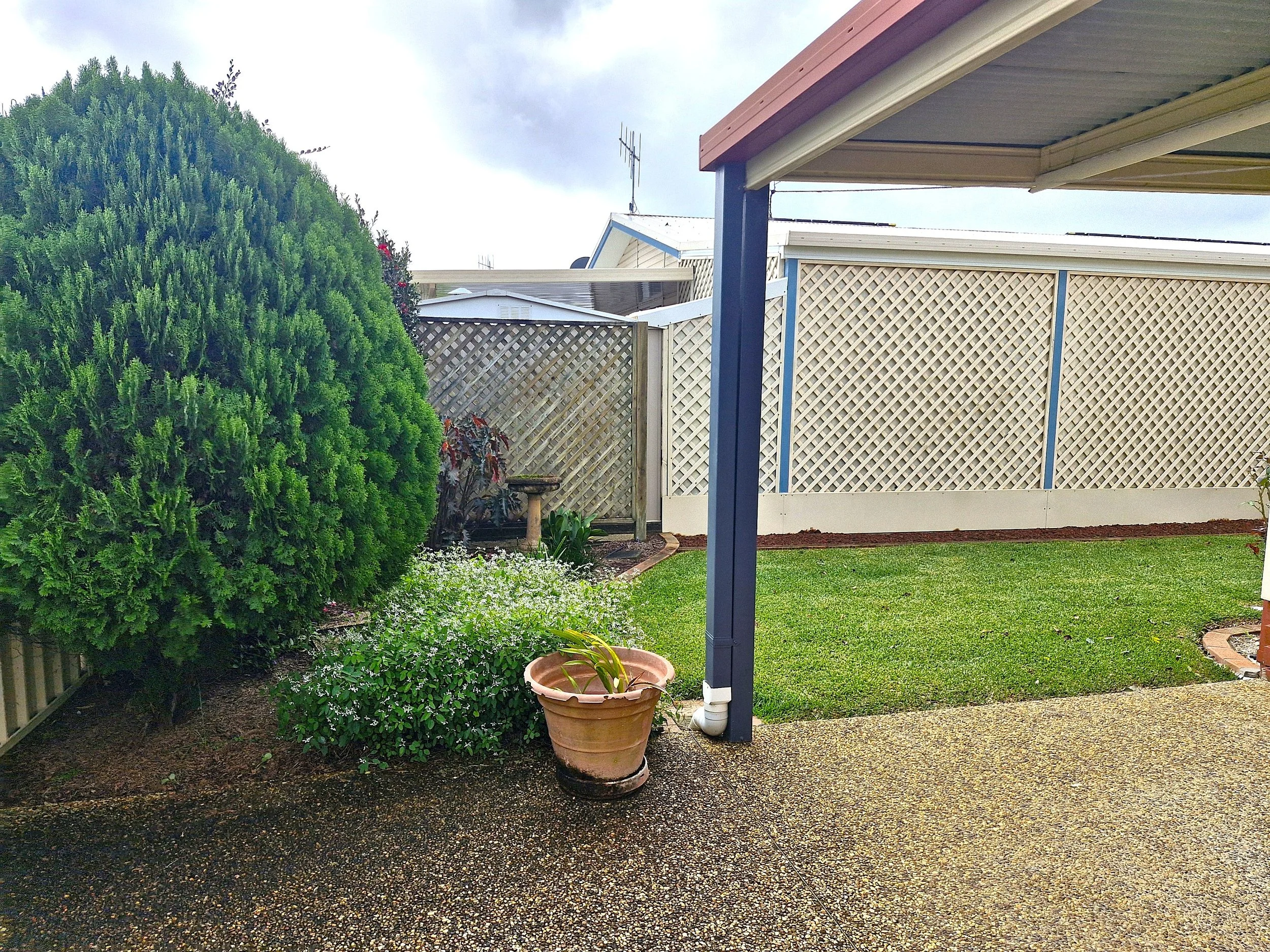 Backyard 132.jpg