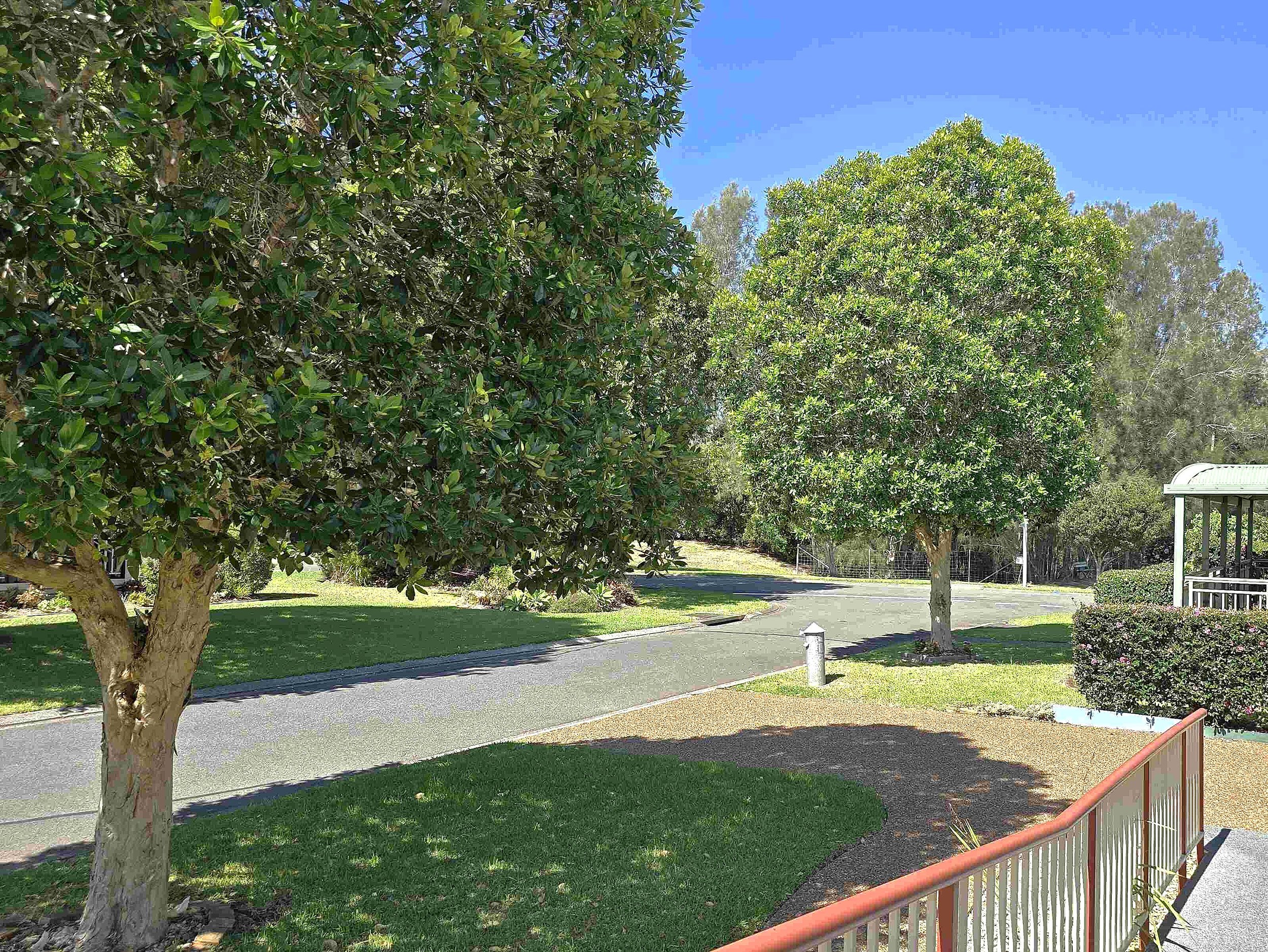 177 Abelia Avenue
