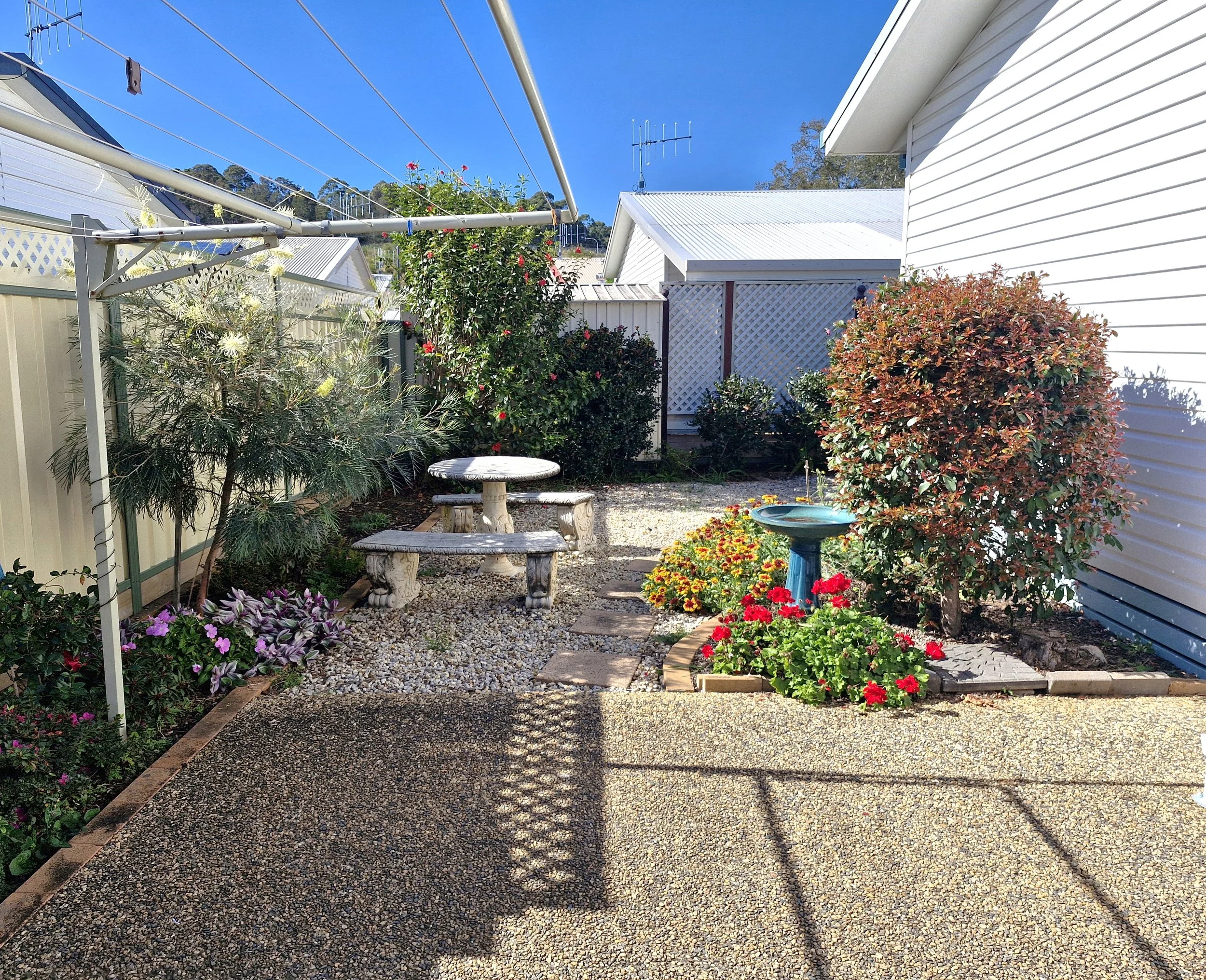 backyard 74.jpg