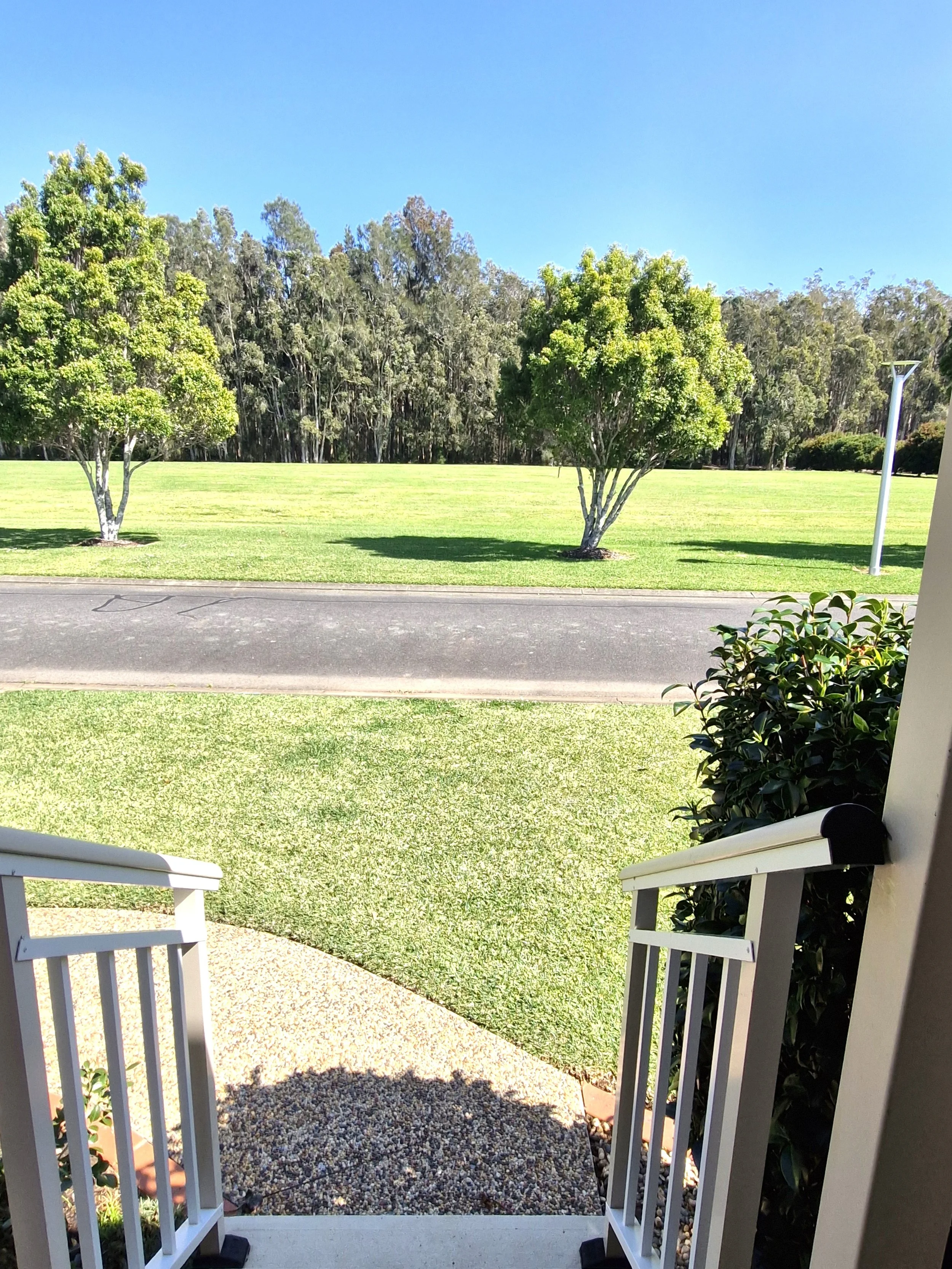 View #237.jpg
