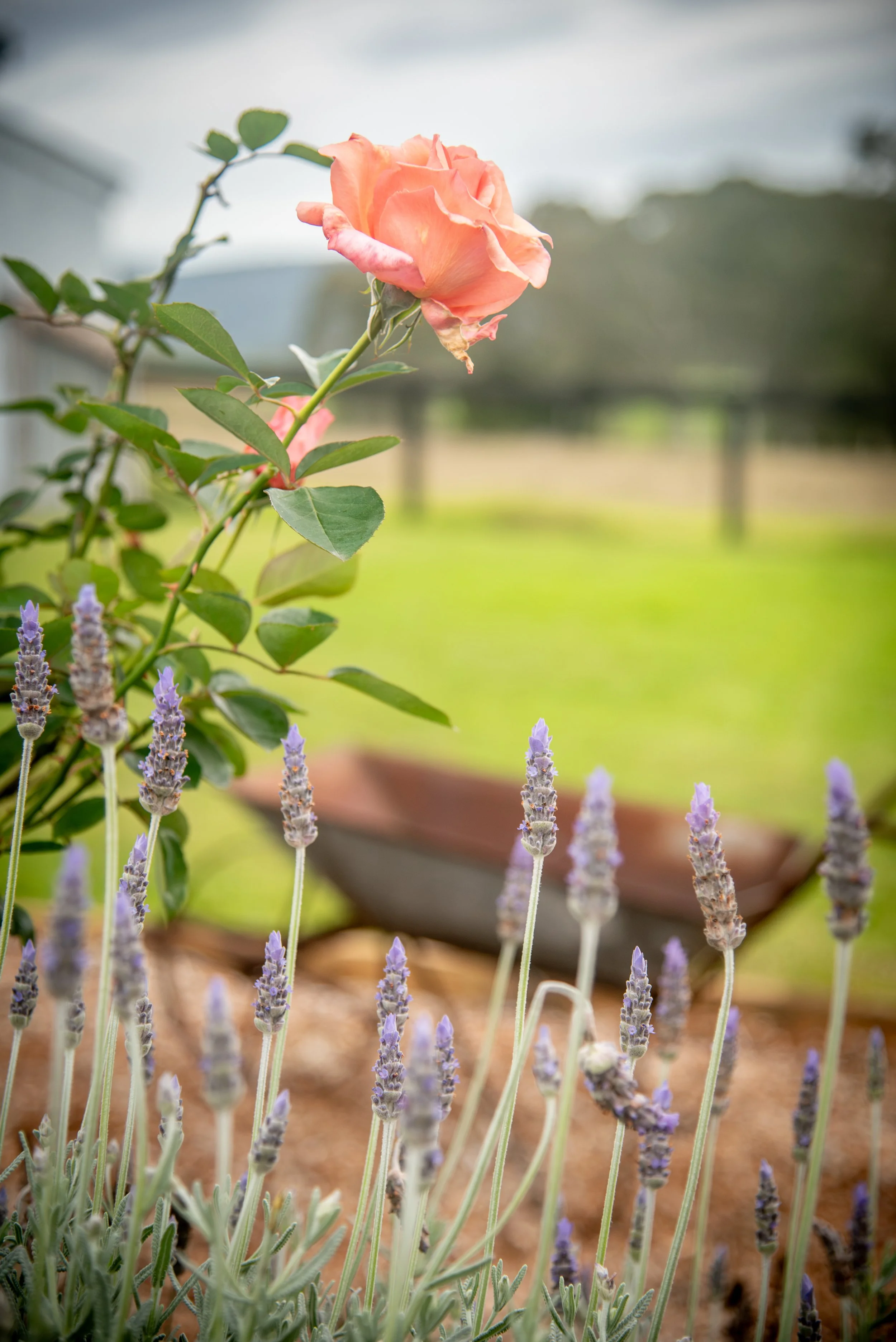 HopeGrace-140.jpg