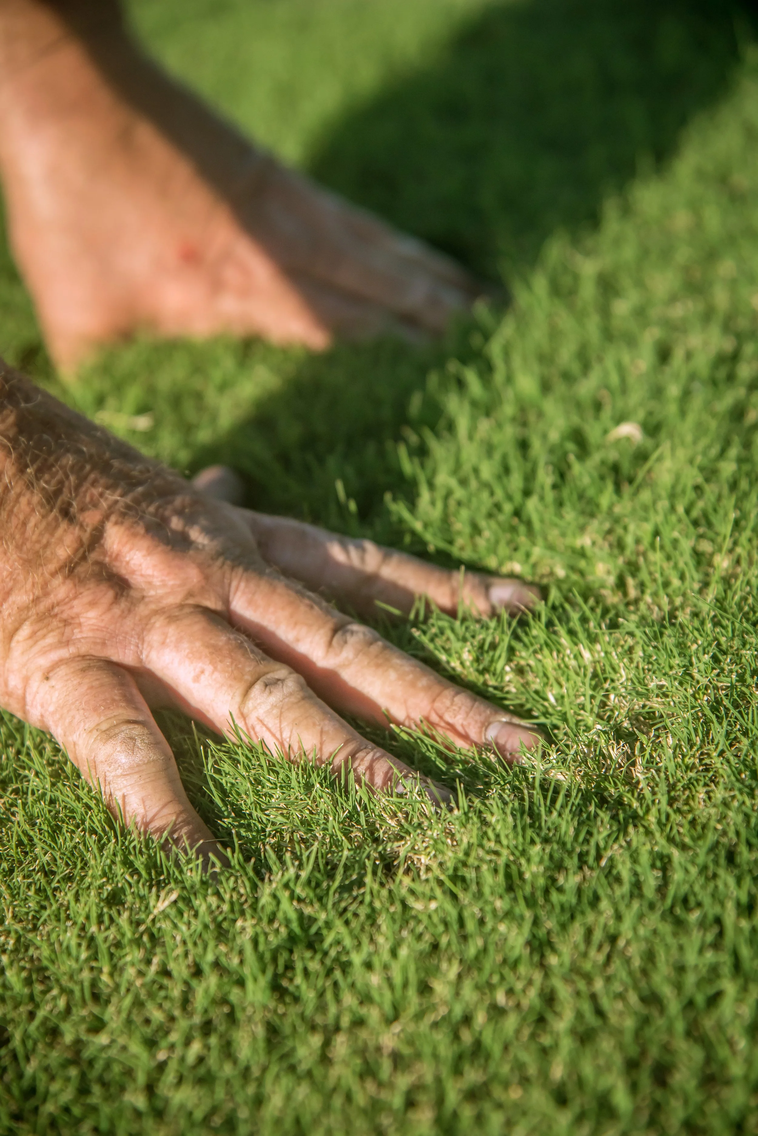 HunterTurfCo-91.jpg