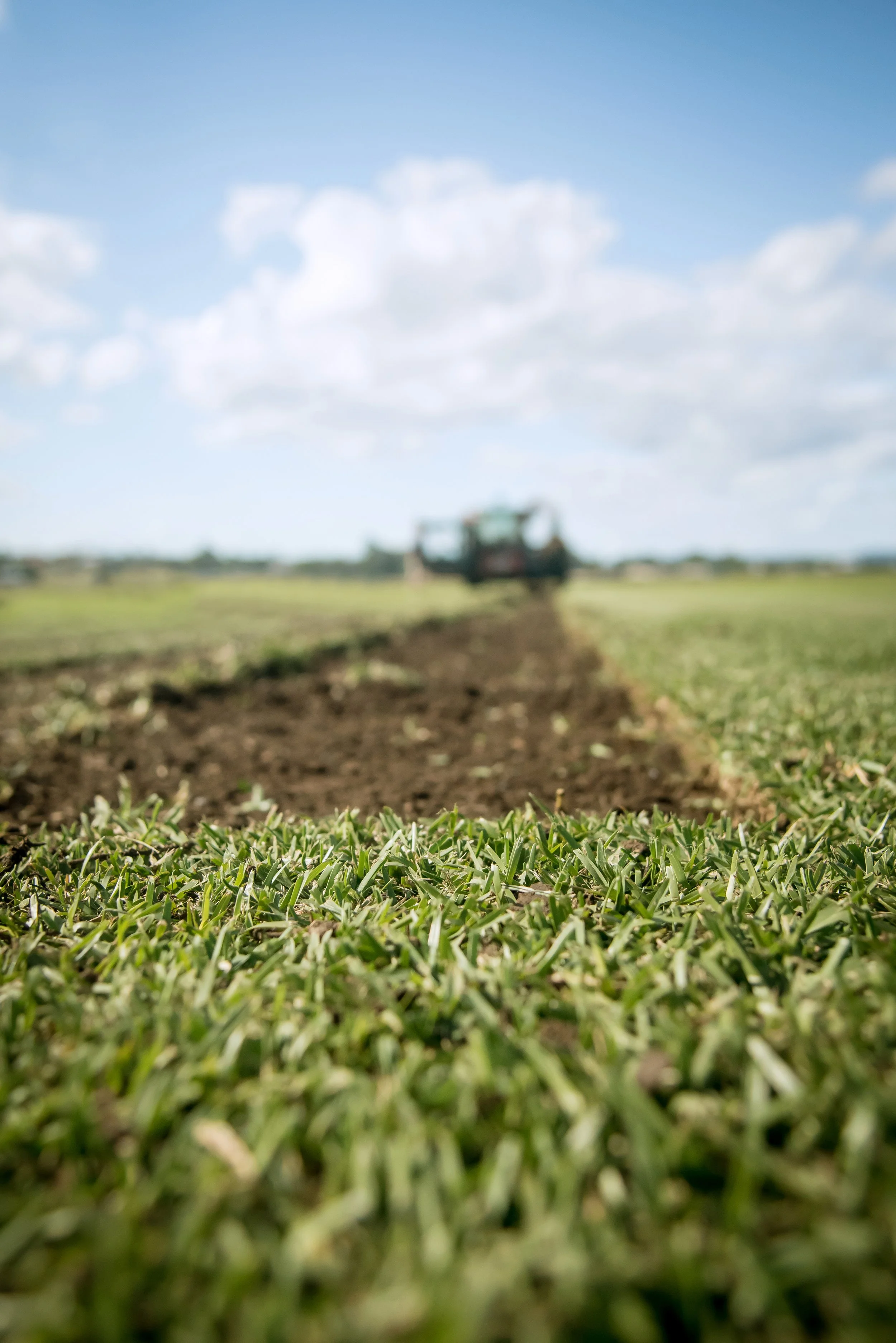 HunterTurfCo-4.jpg