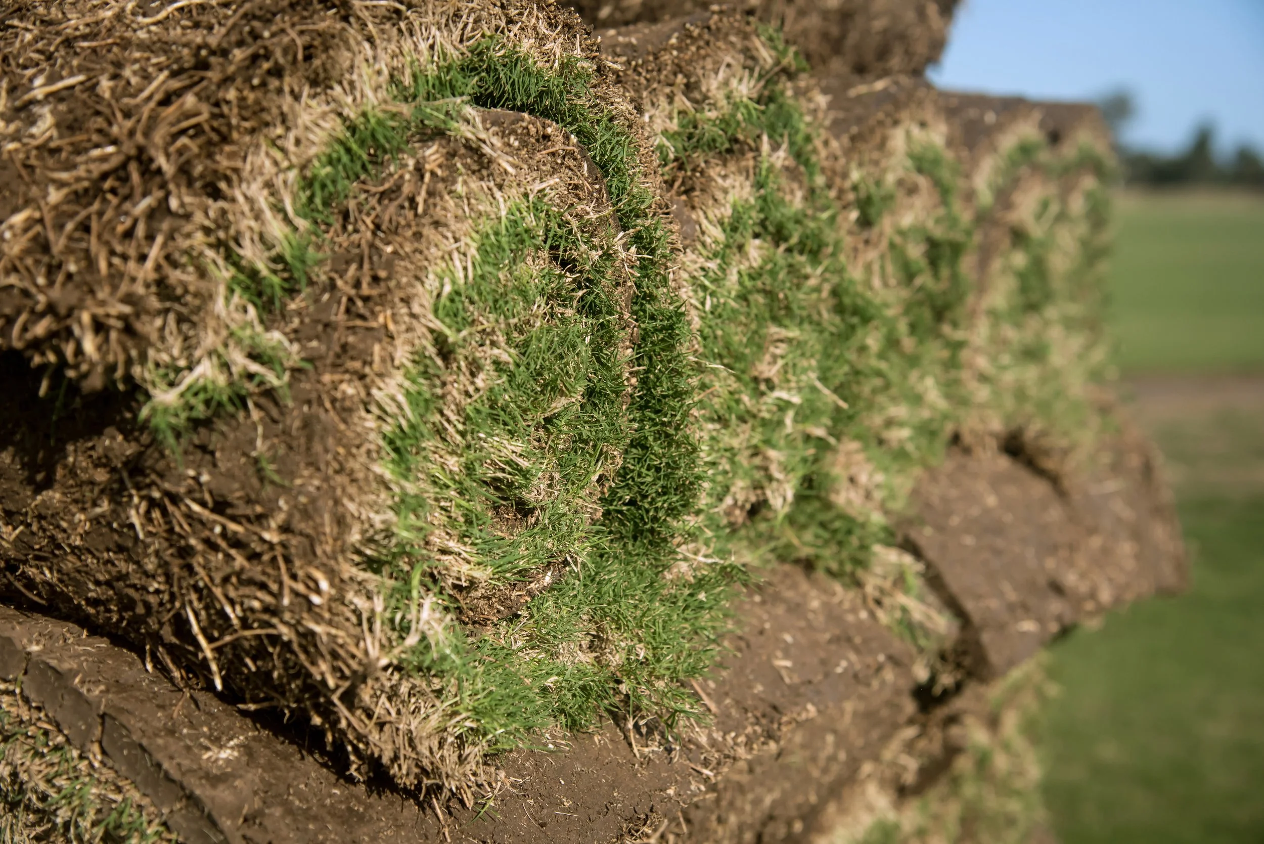 HunterTurfCo-42.jpg