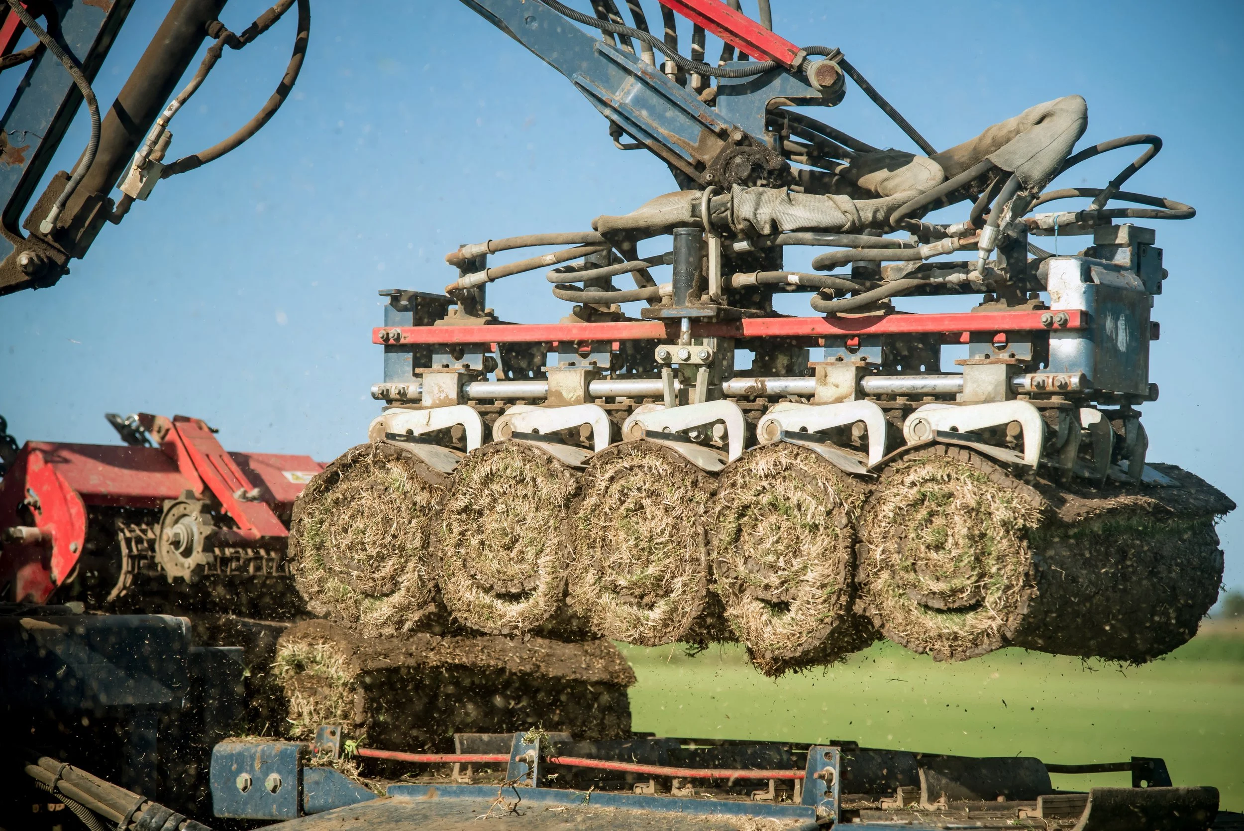 HunterTurfCo-34.jpg