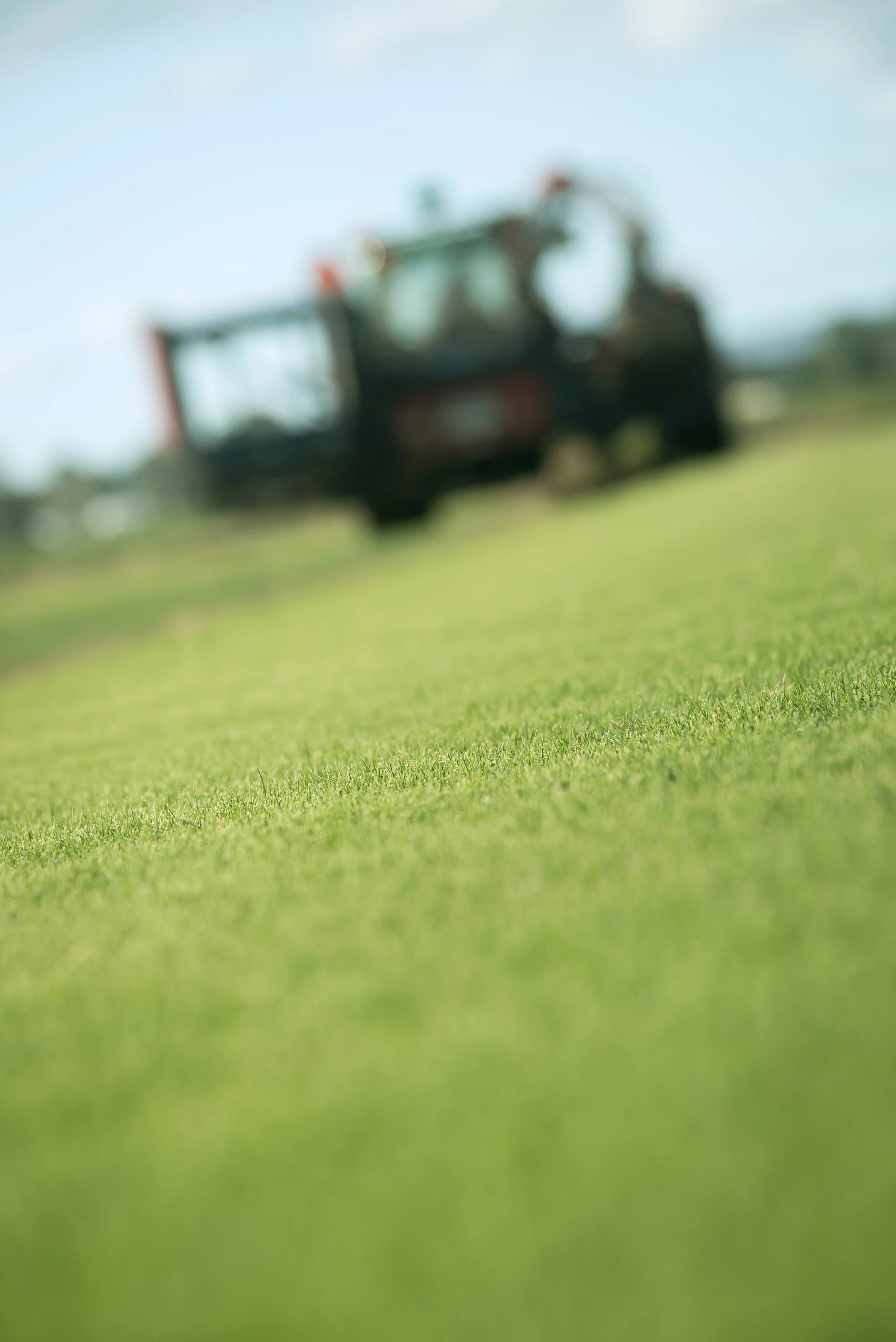 HunterTurfCo-21.jpg