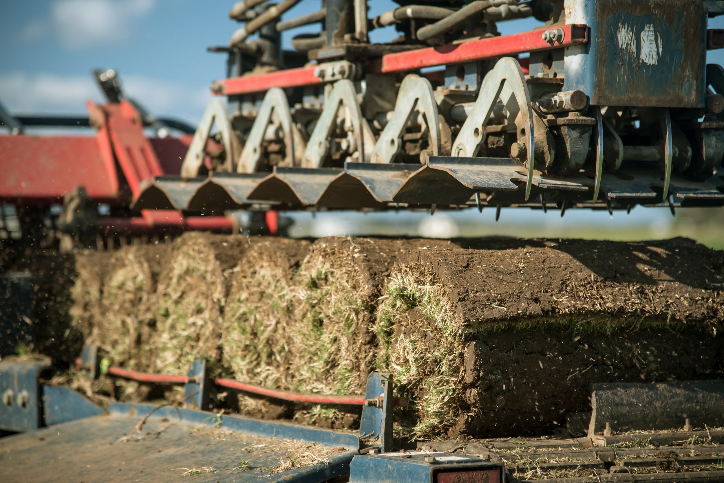 HunterTurfCo-36.jpg