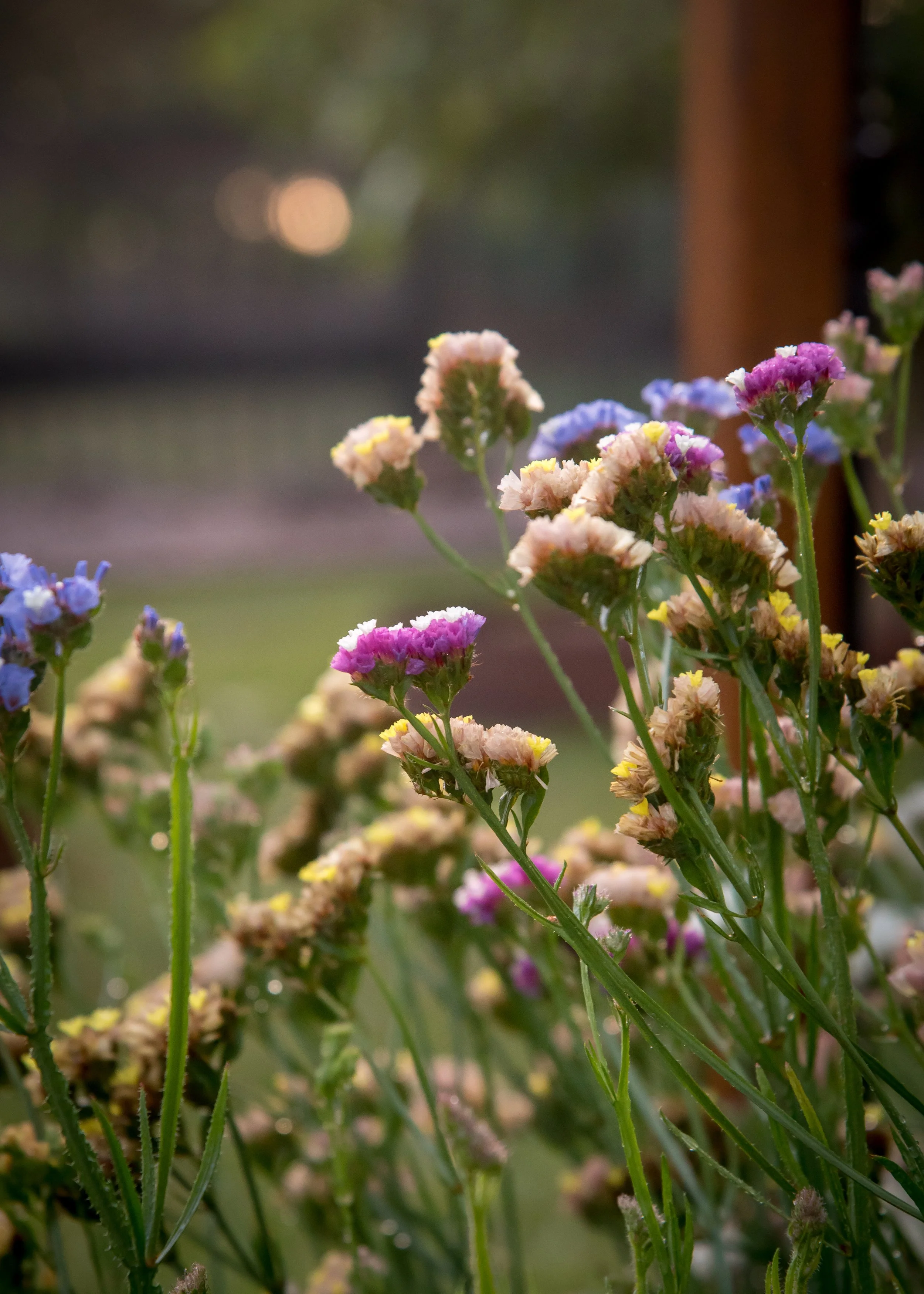 EllaFlora-59.jpg