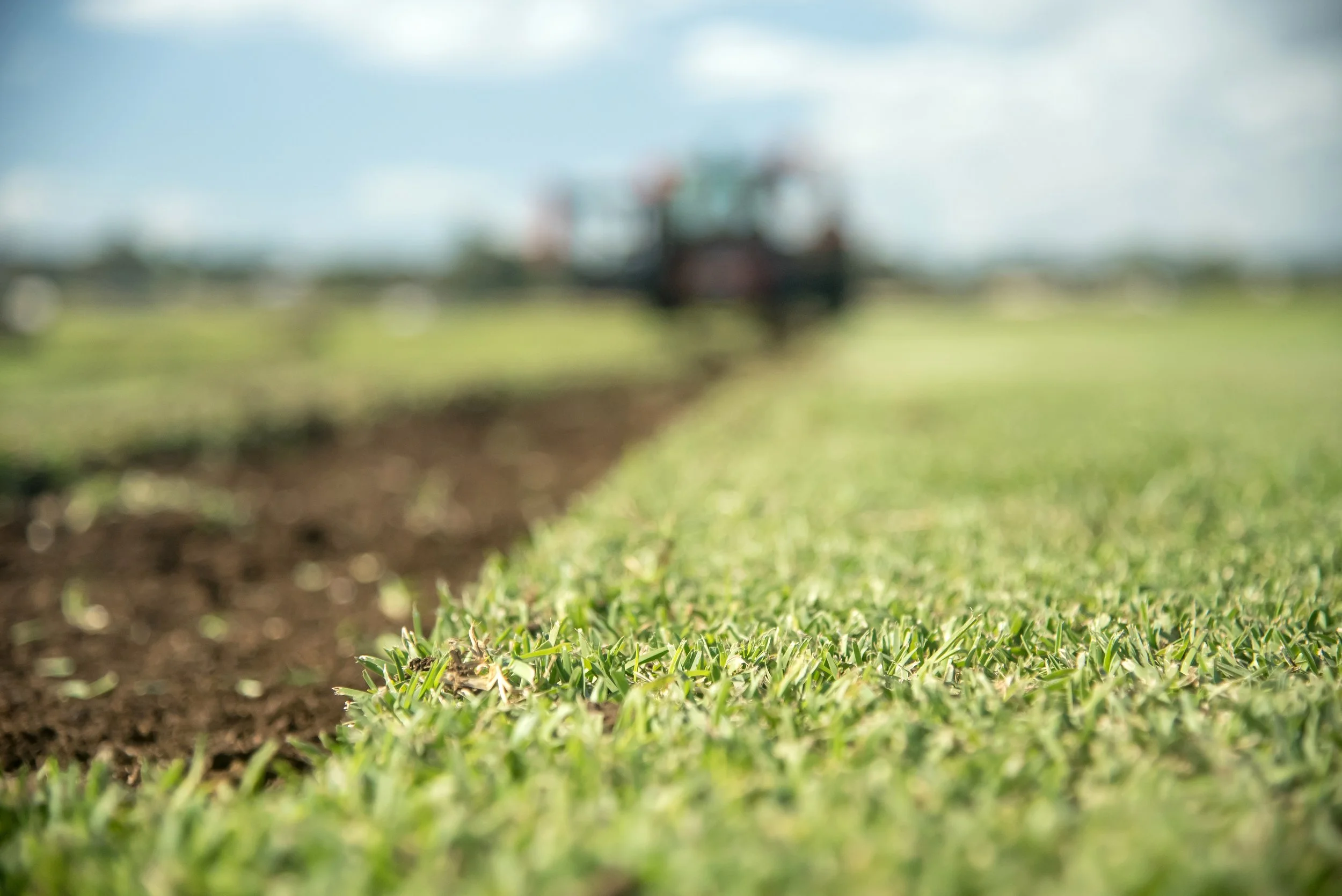 HunterTurfCo-5.jpg