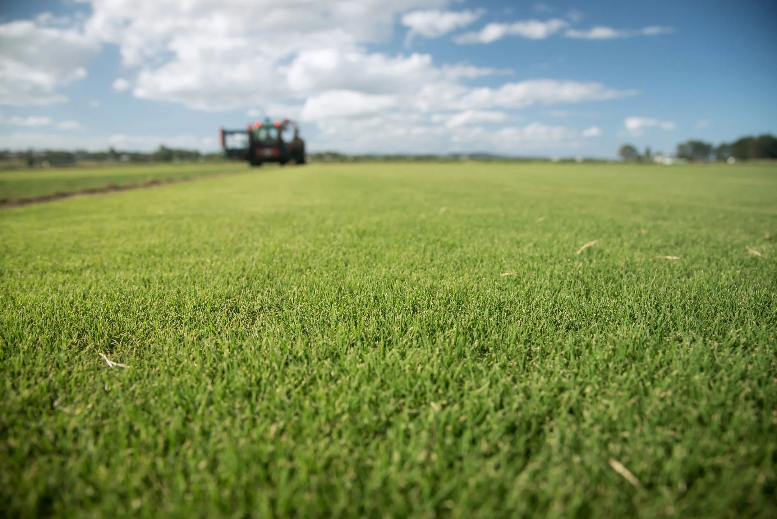 HunterTurfCo-19.jpg