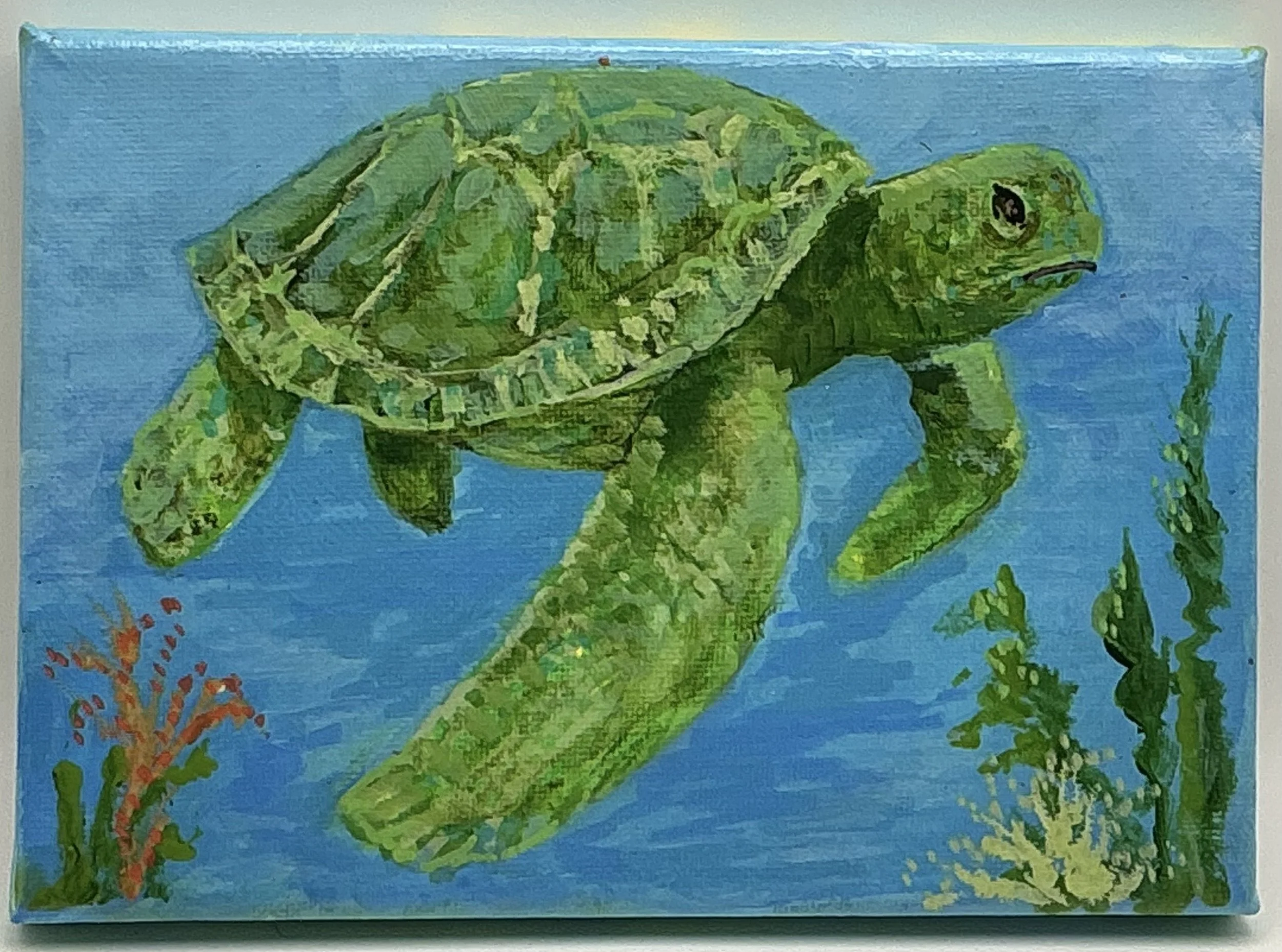 Ocean Serenity: Sea Turtle Acrylic Painting