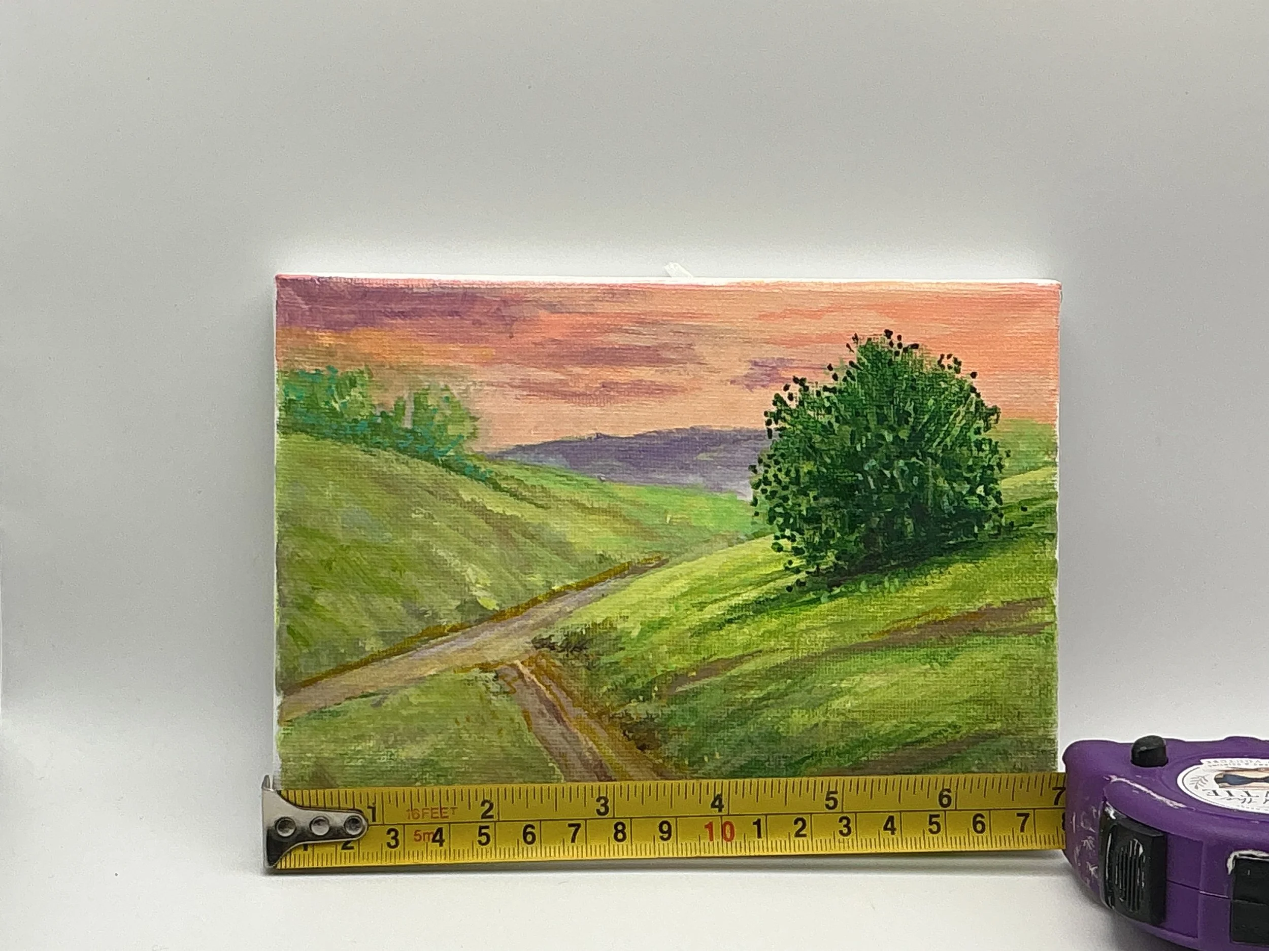 Captivating Landscape Mini Canvas