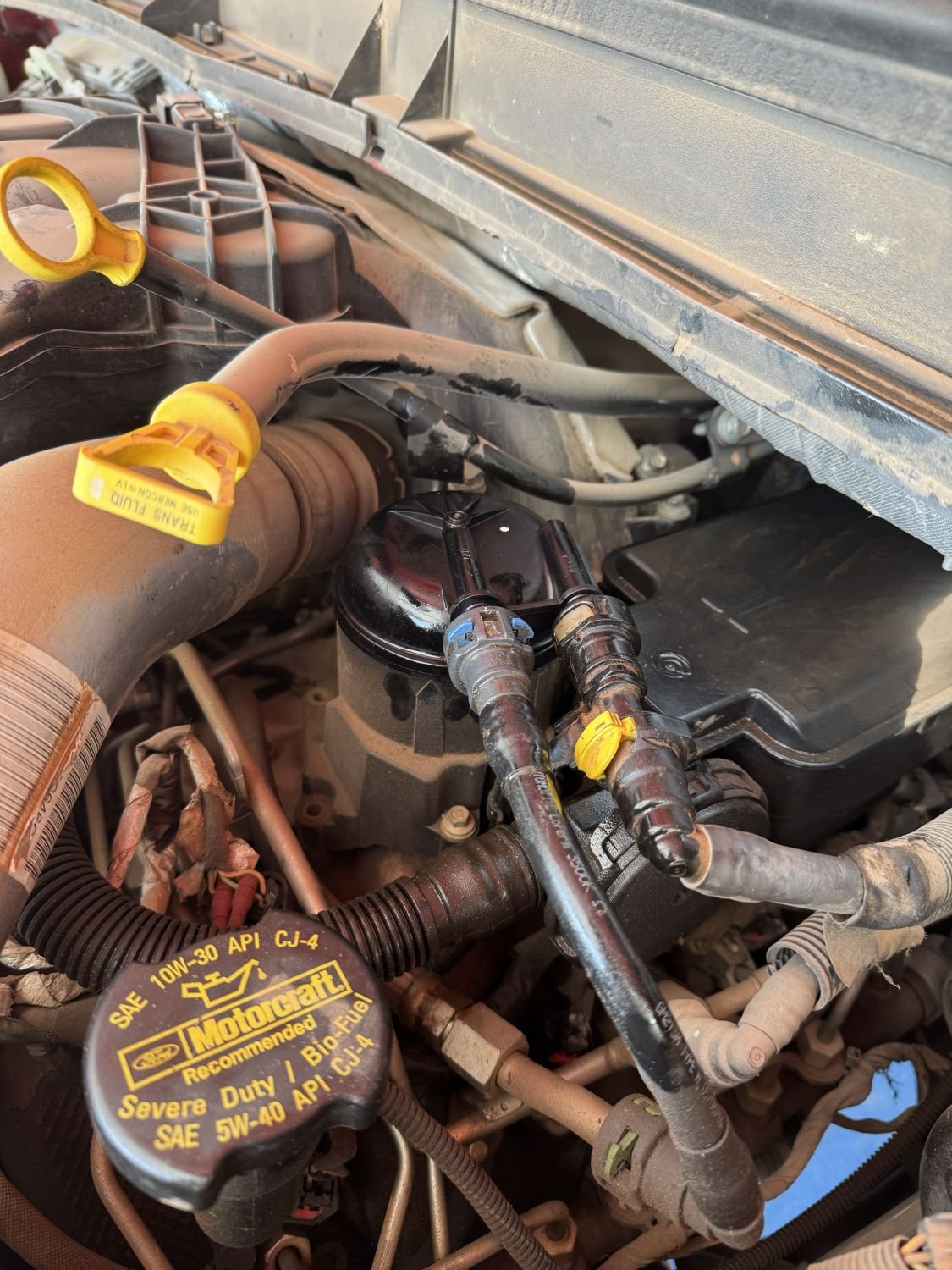 Close-up of a car engine with various hoses, a black oil cap labeled "Motorcraft," and other engine components.