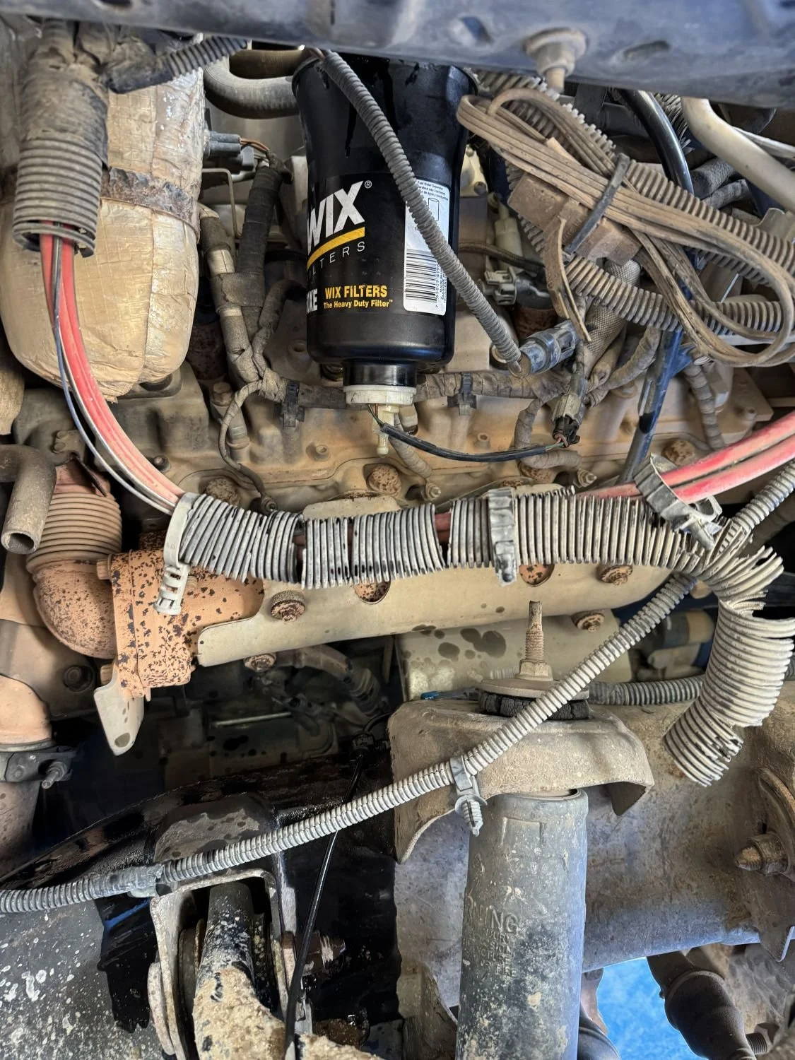 Under the hood of a vehicle showing an oil filter, various hoses, wiring, and engine components.
