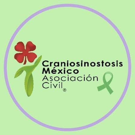Logotipo de la Asociación Civil Cranosinosis México, con una flor de color rojo y una cinta verde sobre fondo verde claro