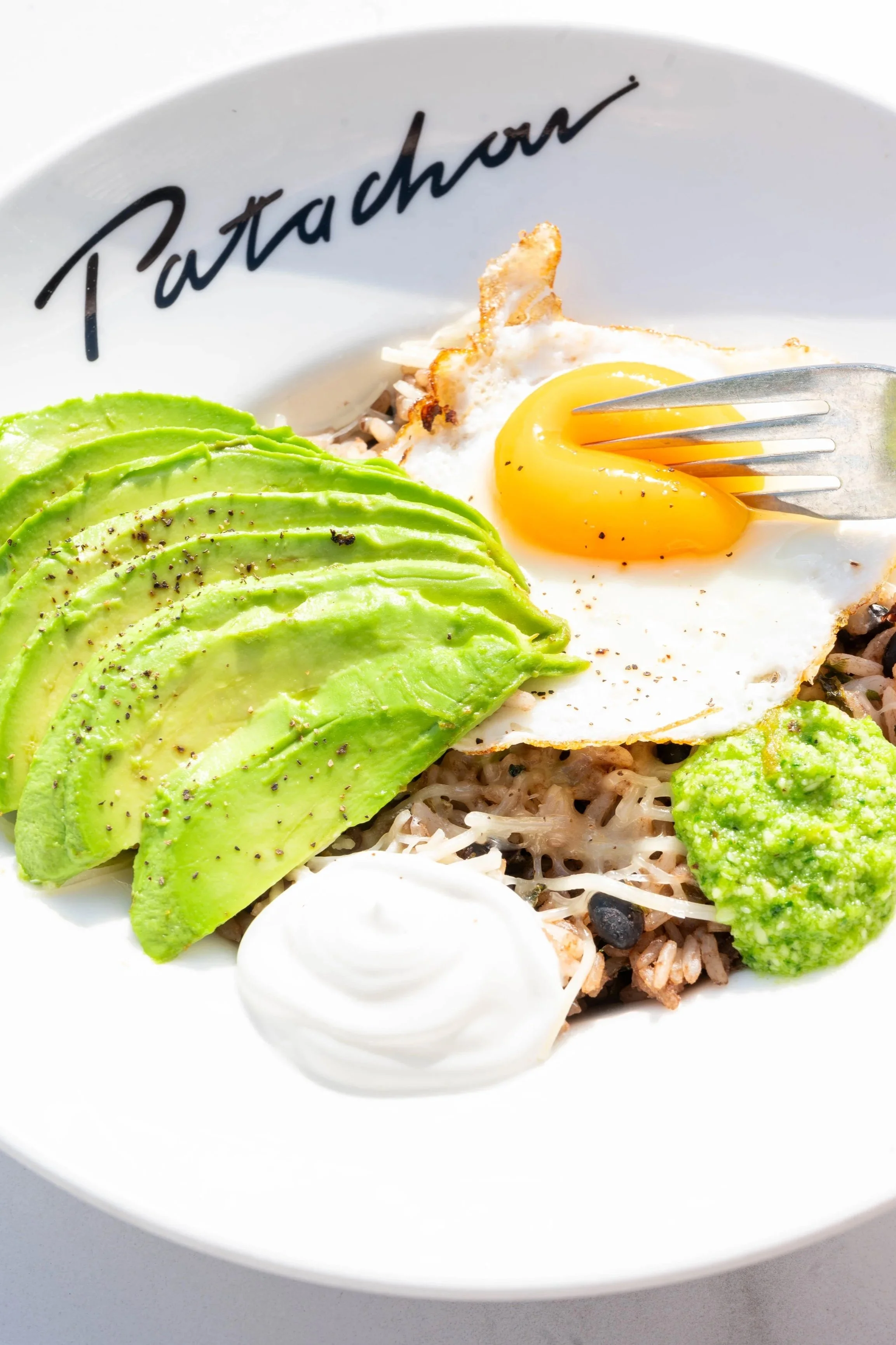 Cafe Patachou, Evergreen Photoshoot