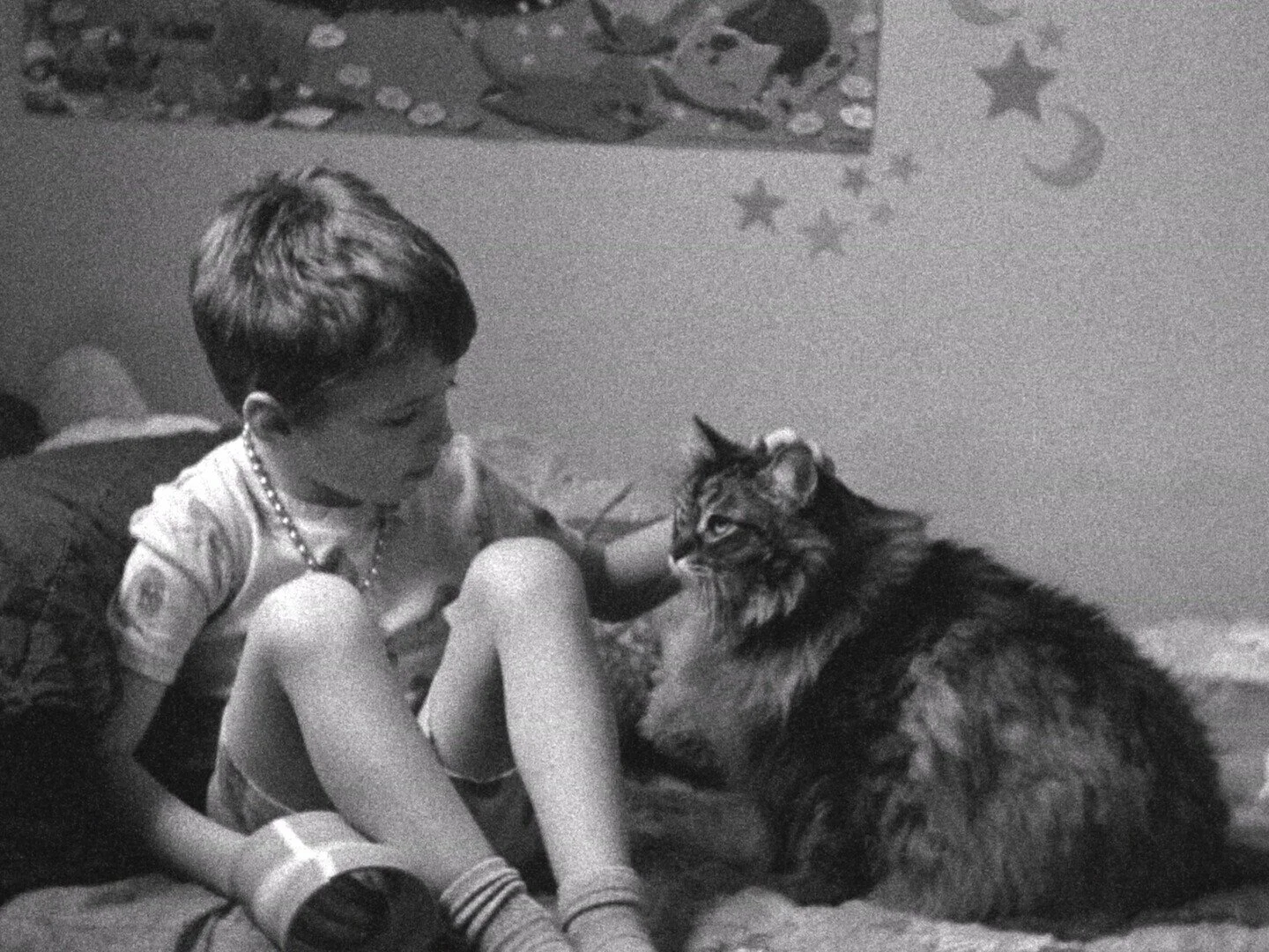 A young boy with short hair, sitting on a bed and wearing a beaded necklace, looks at a large, fluffy cat lying on the floor. The boy is touching the cat's face gently.