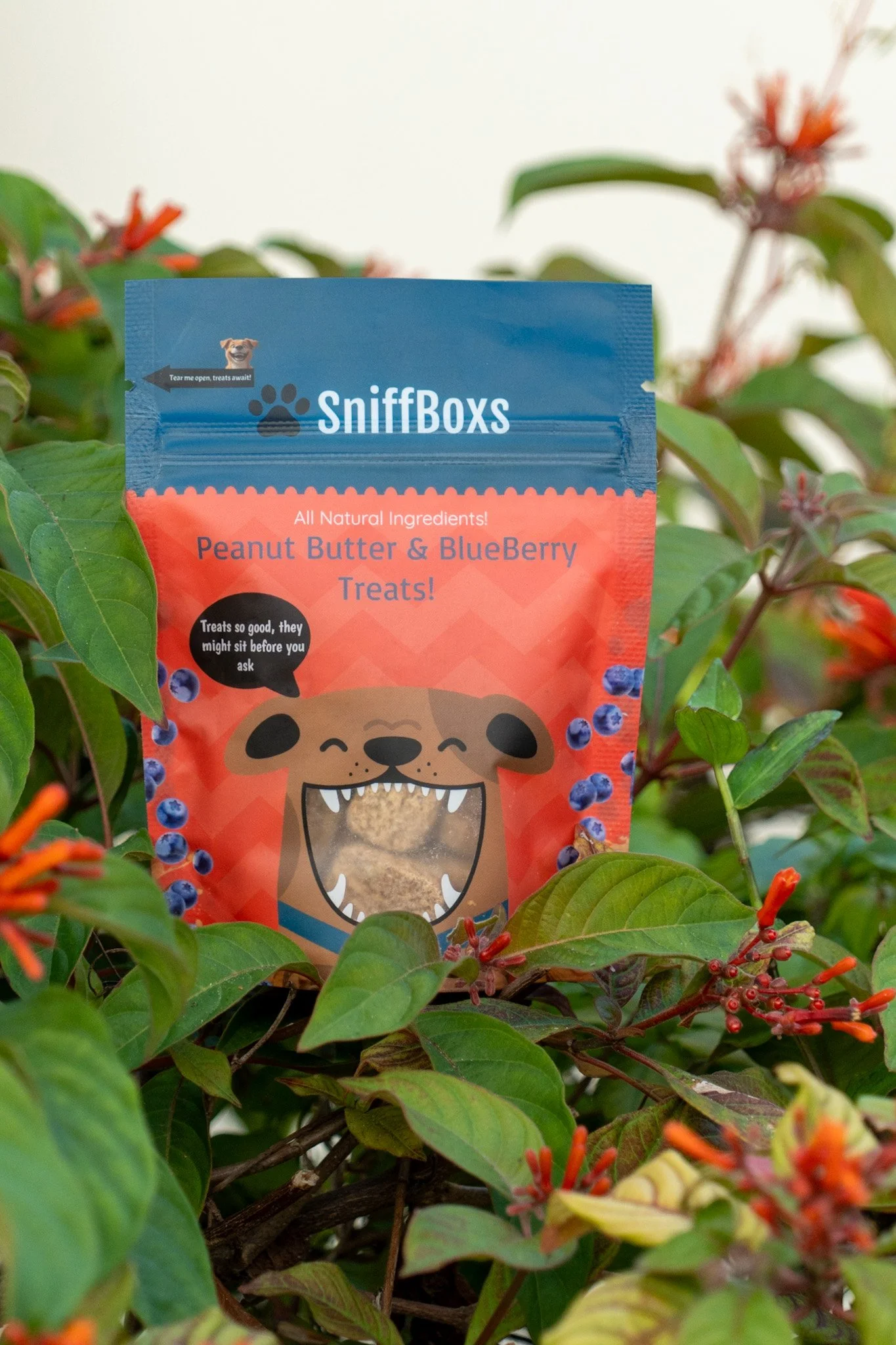 Packet of SniffBoxes dog treats placed among green leaves and orange flowers, featuring a cartoon dog with an open mouth and sharp teeth on the packaging.