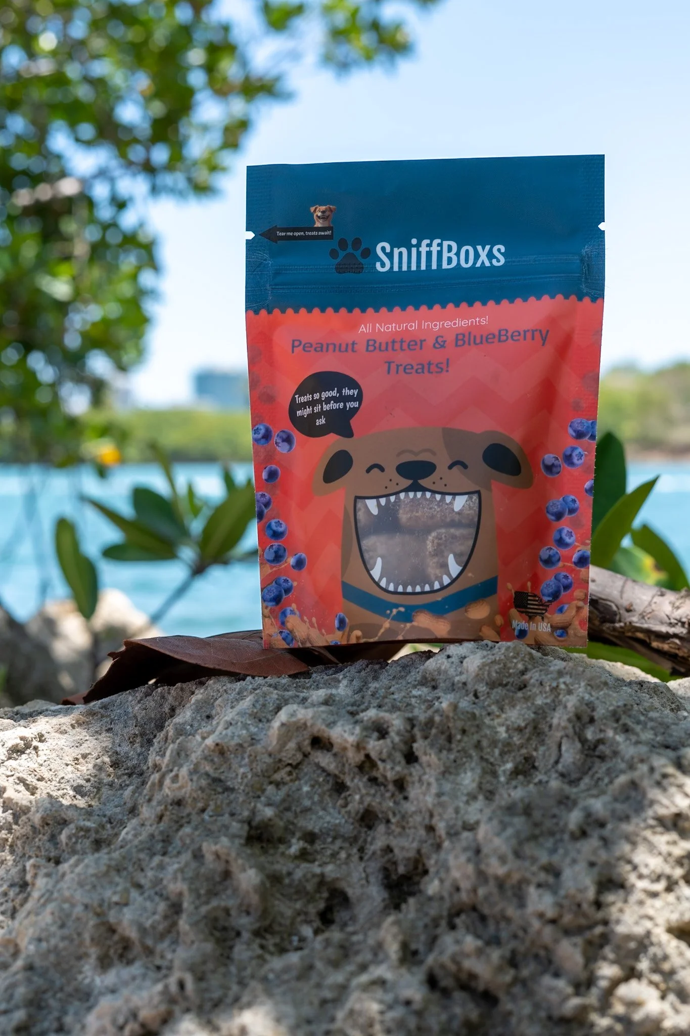 A package of SniffBox treats with a cartoon dog illustration, placed on rocks outdoors with trees and blue sky in the background.