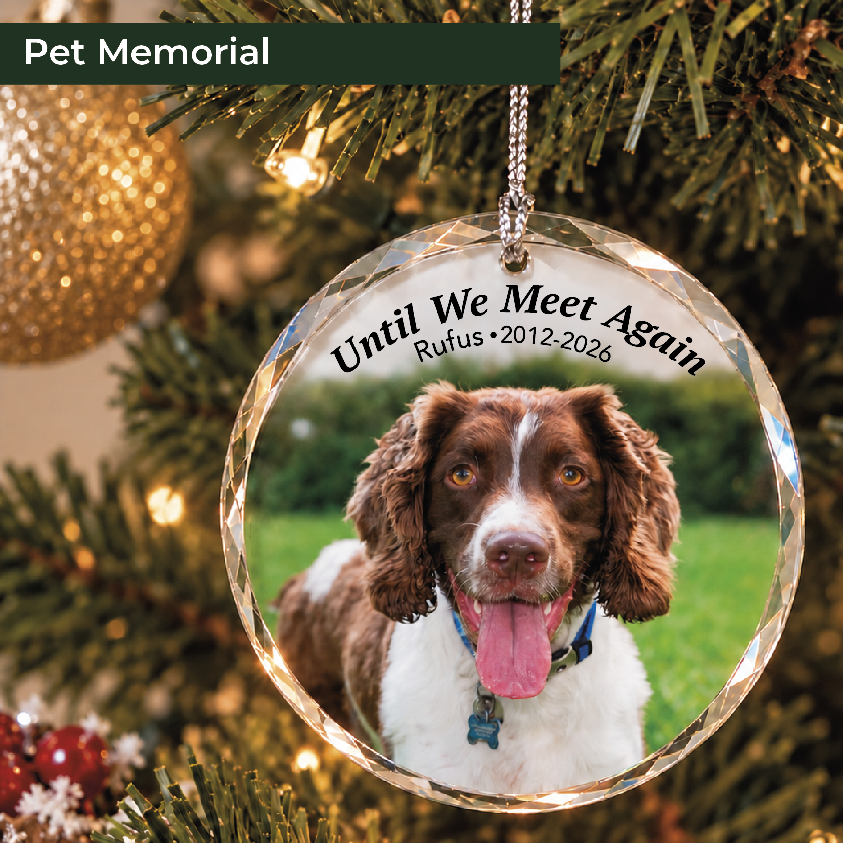 PetMemorialOrnament1.png