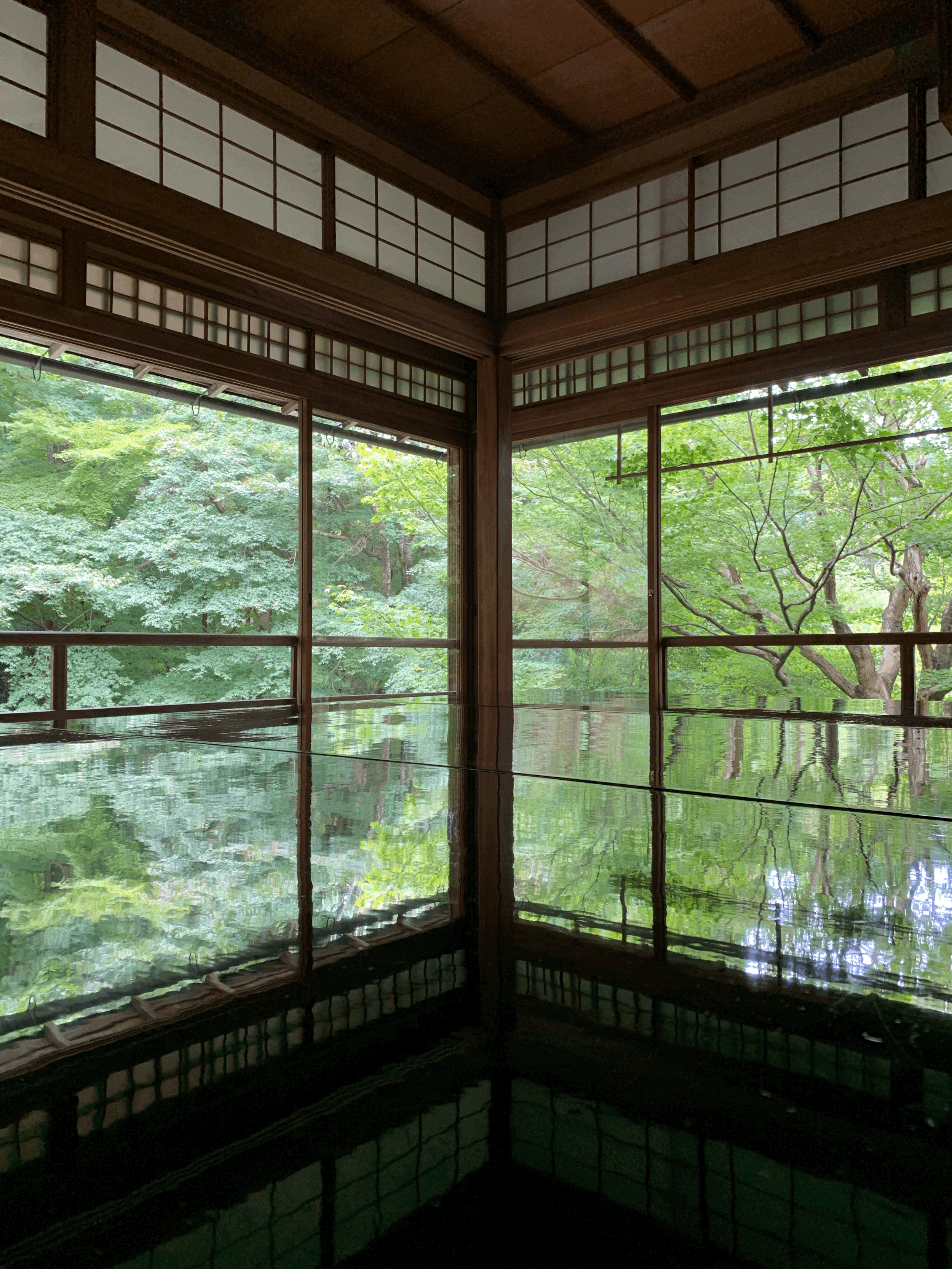 Temples and Shrines Without the Crowds (Kyoto and Nara)