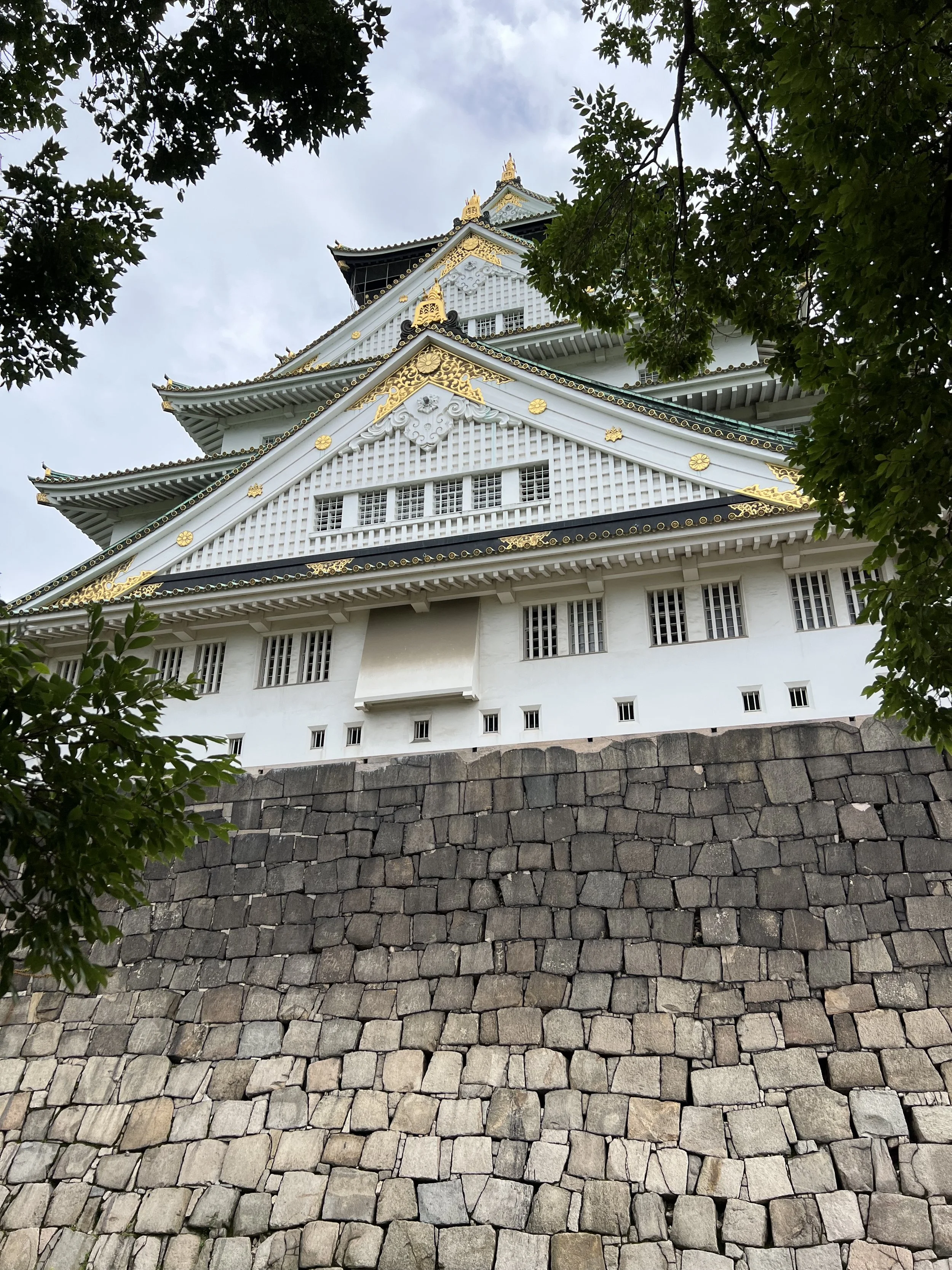 IMG_7629.jpeg