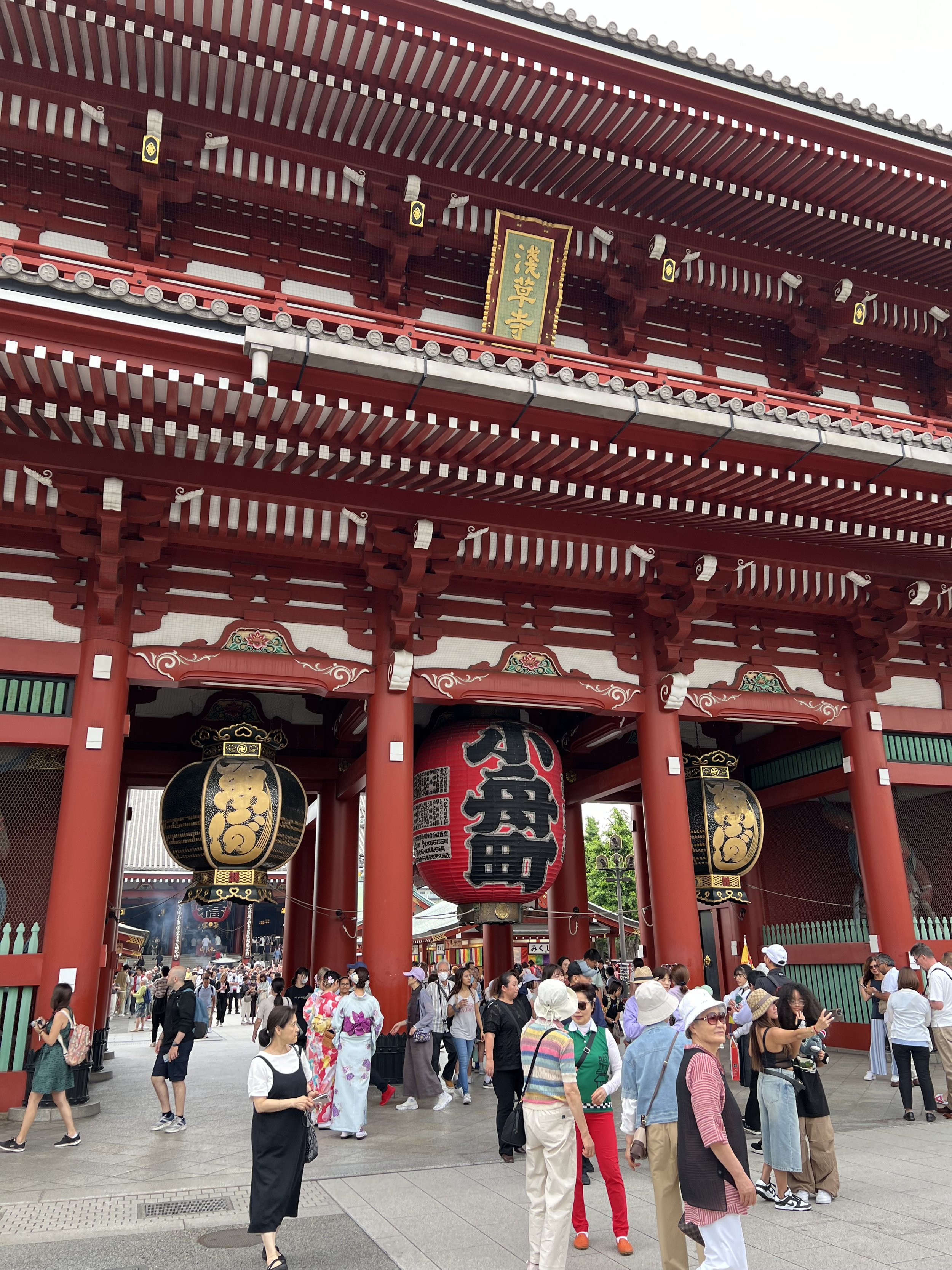 IMG_7265.jpeg