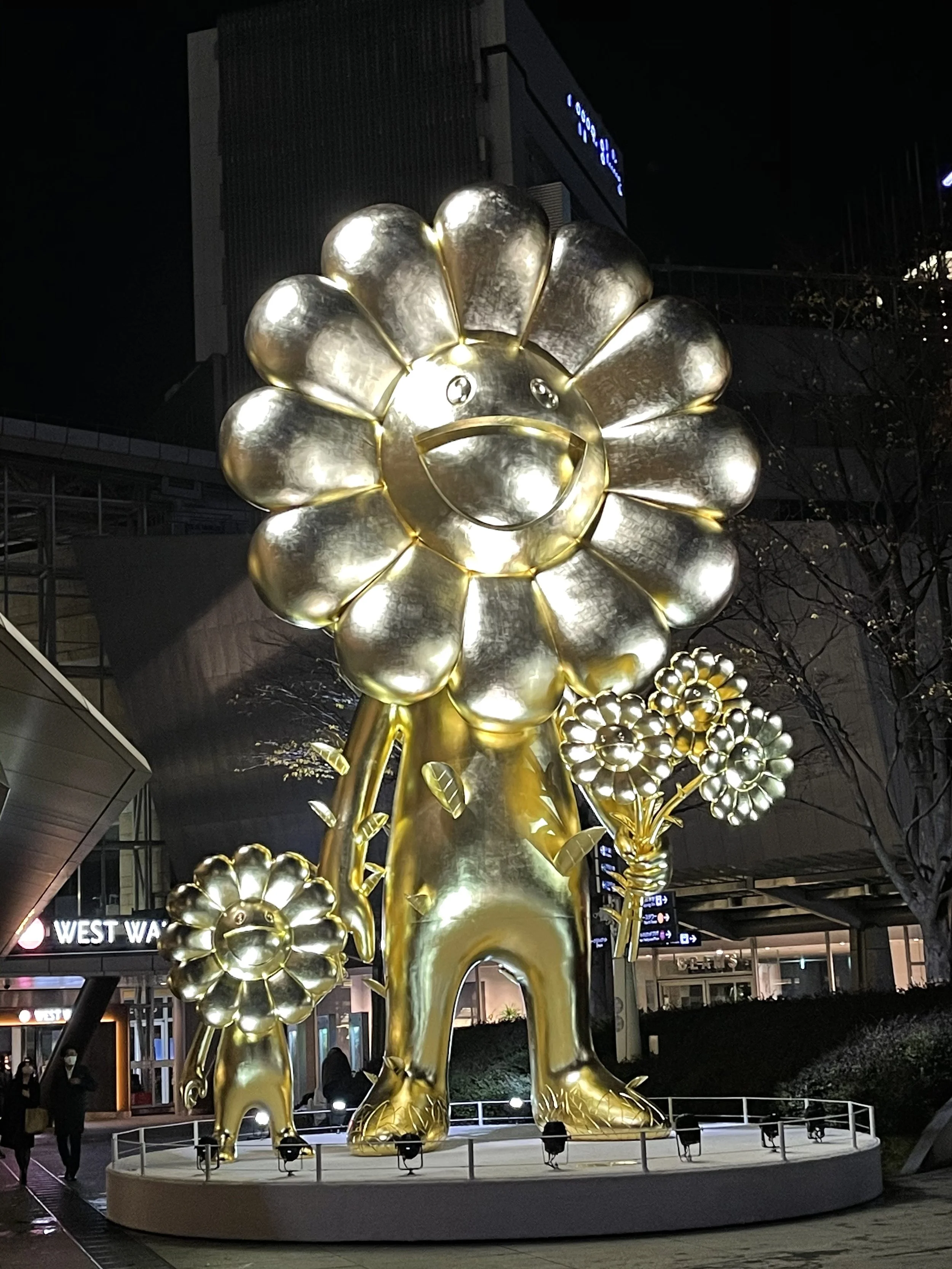 IMG_1374.jpeg
