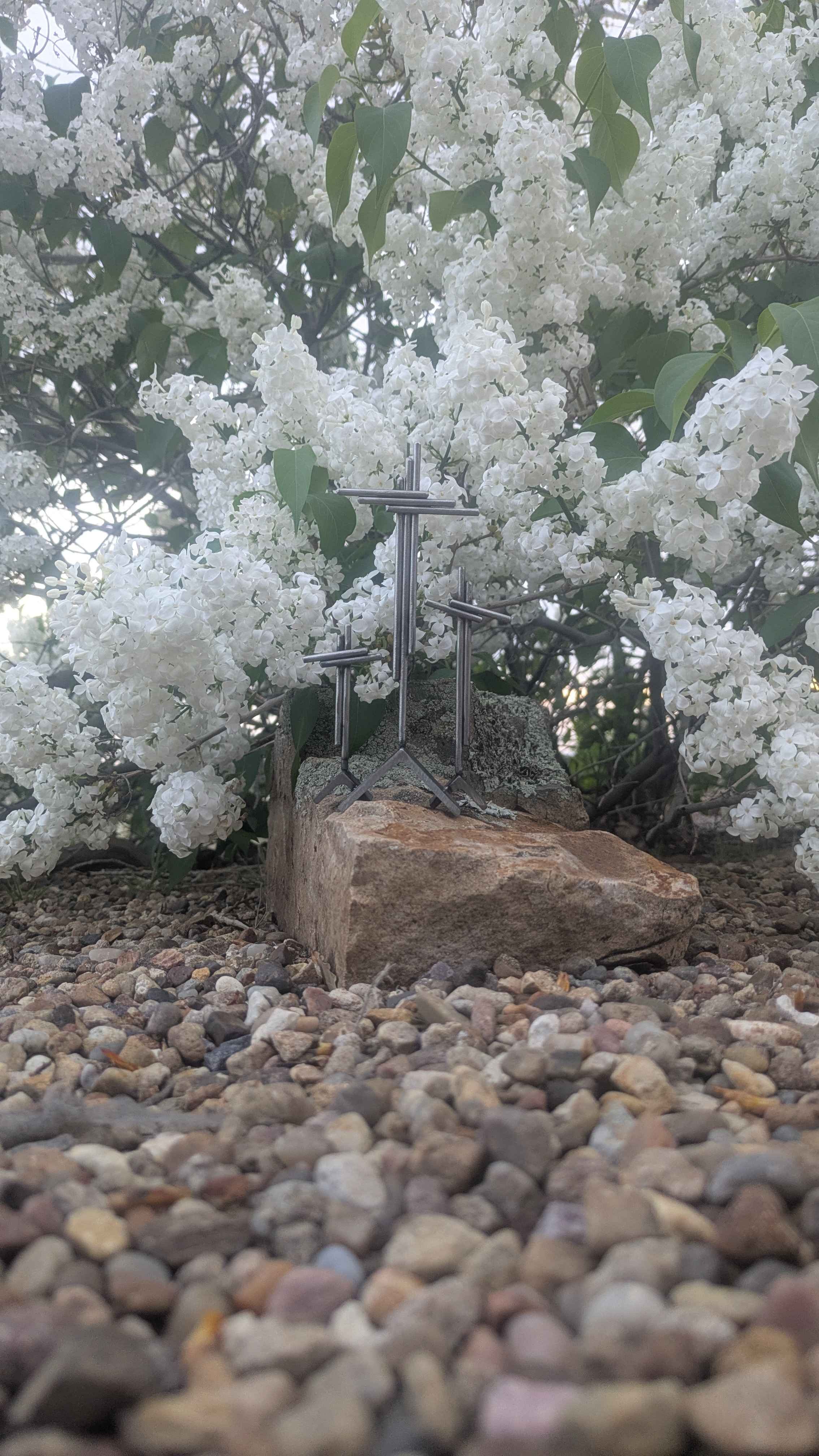 Three-Cross Display