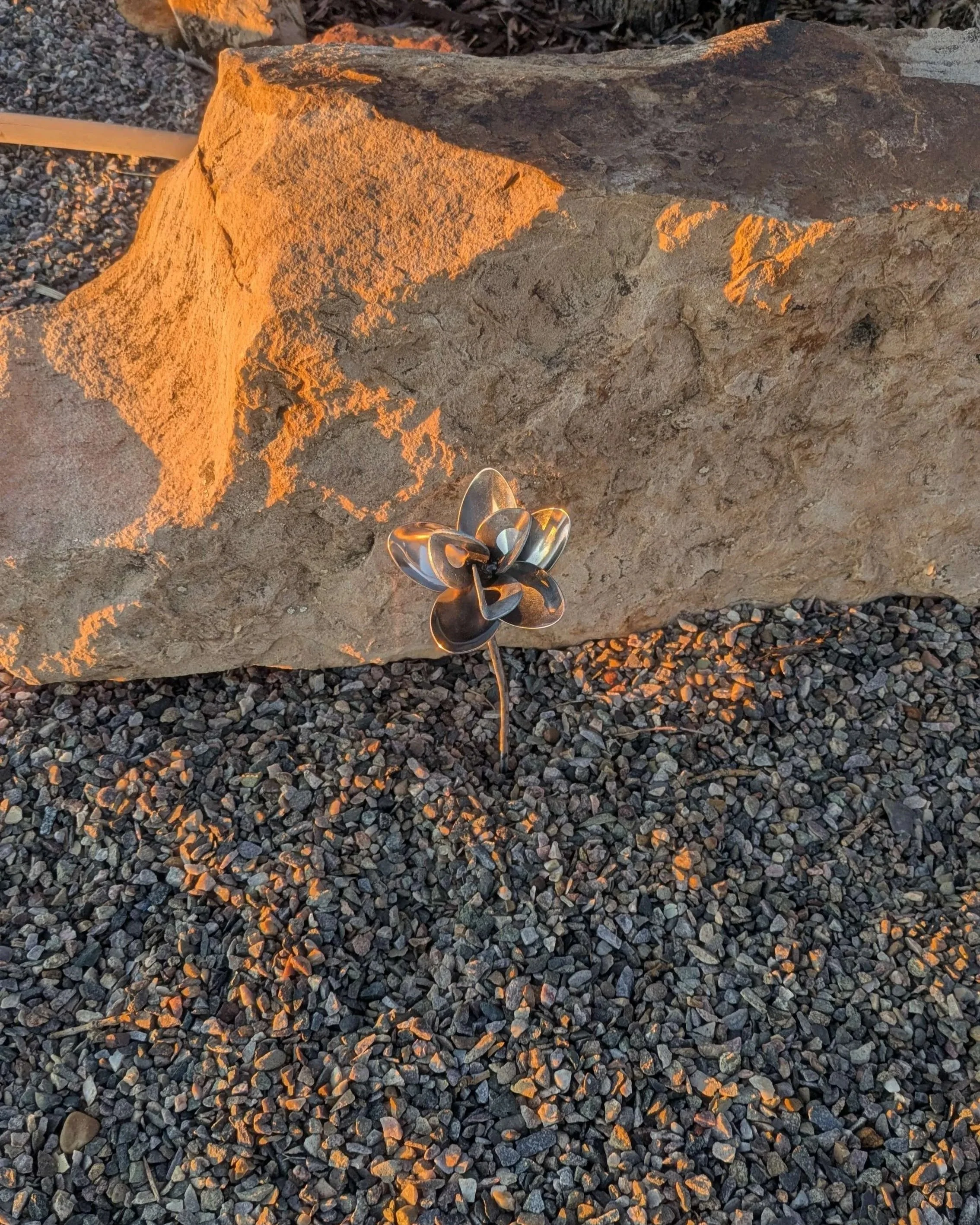A metal art flower made from bent spoon heads, washers, and metal rod planted in gravel as a yard decoration...