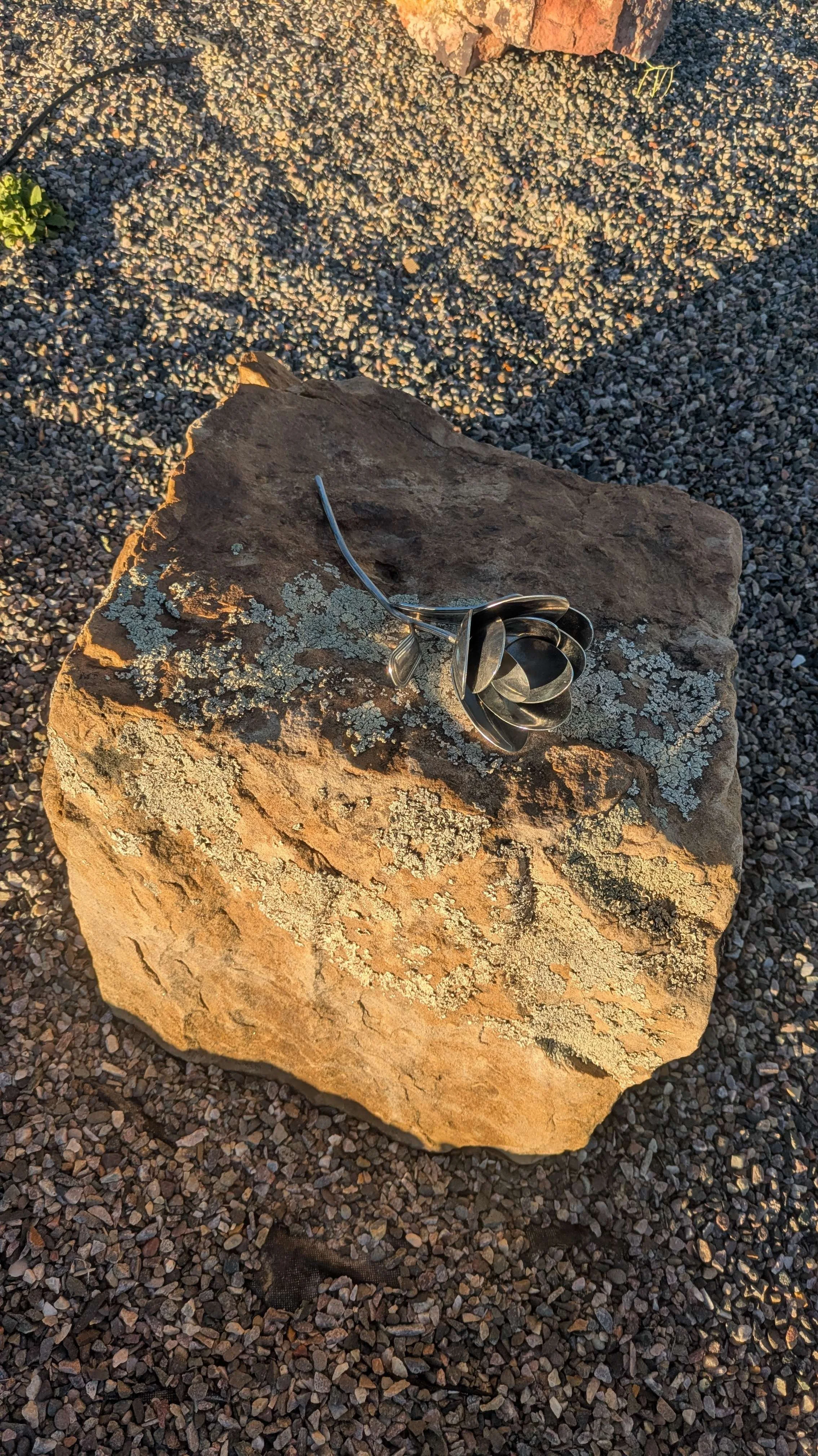 Steel Rose