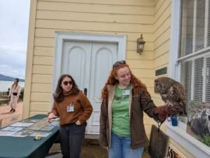 Sequoia-the-owl-300x226.jpg