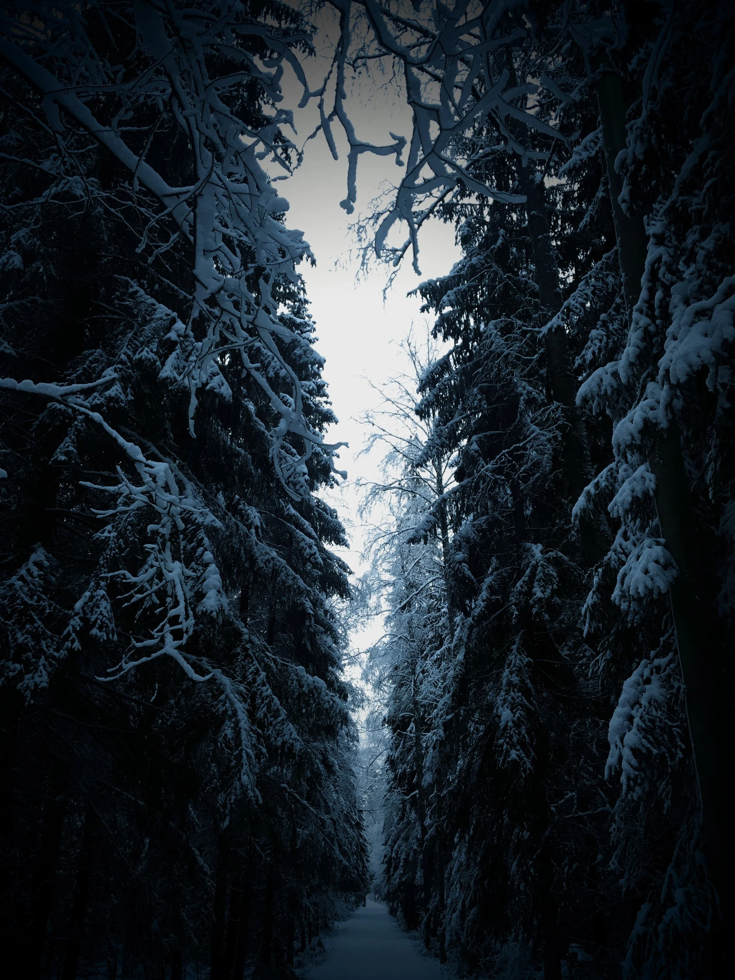 Drowning In White