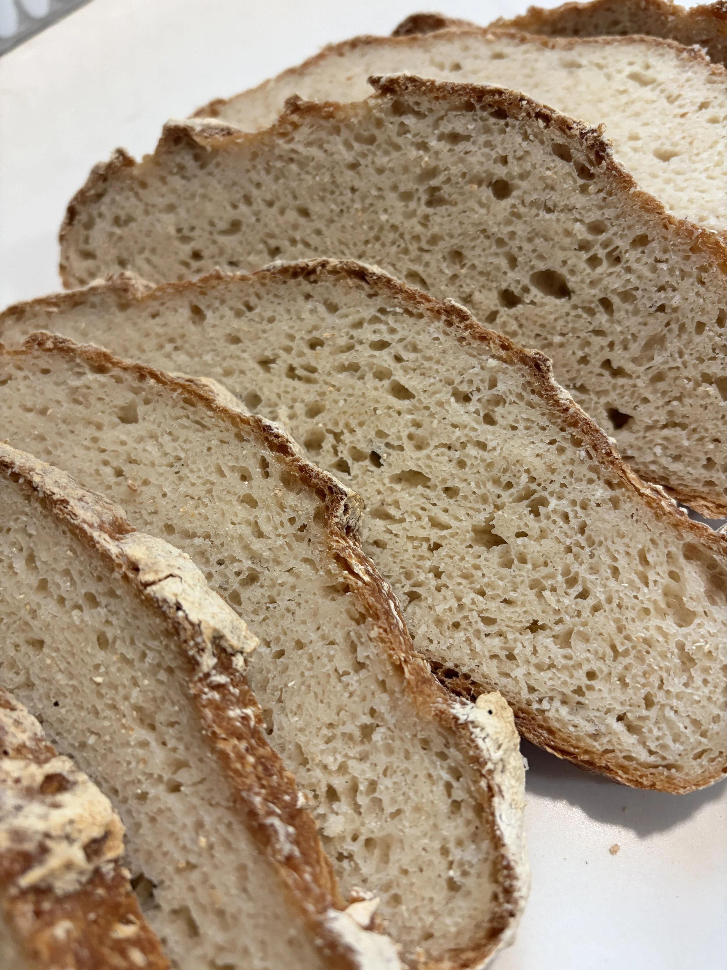 The Gluten-Friendly