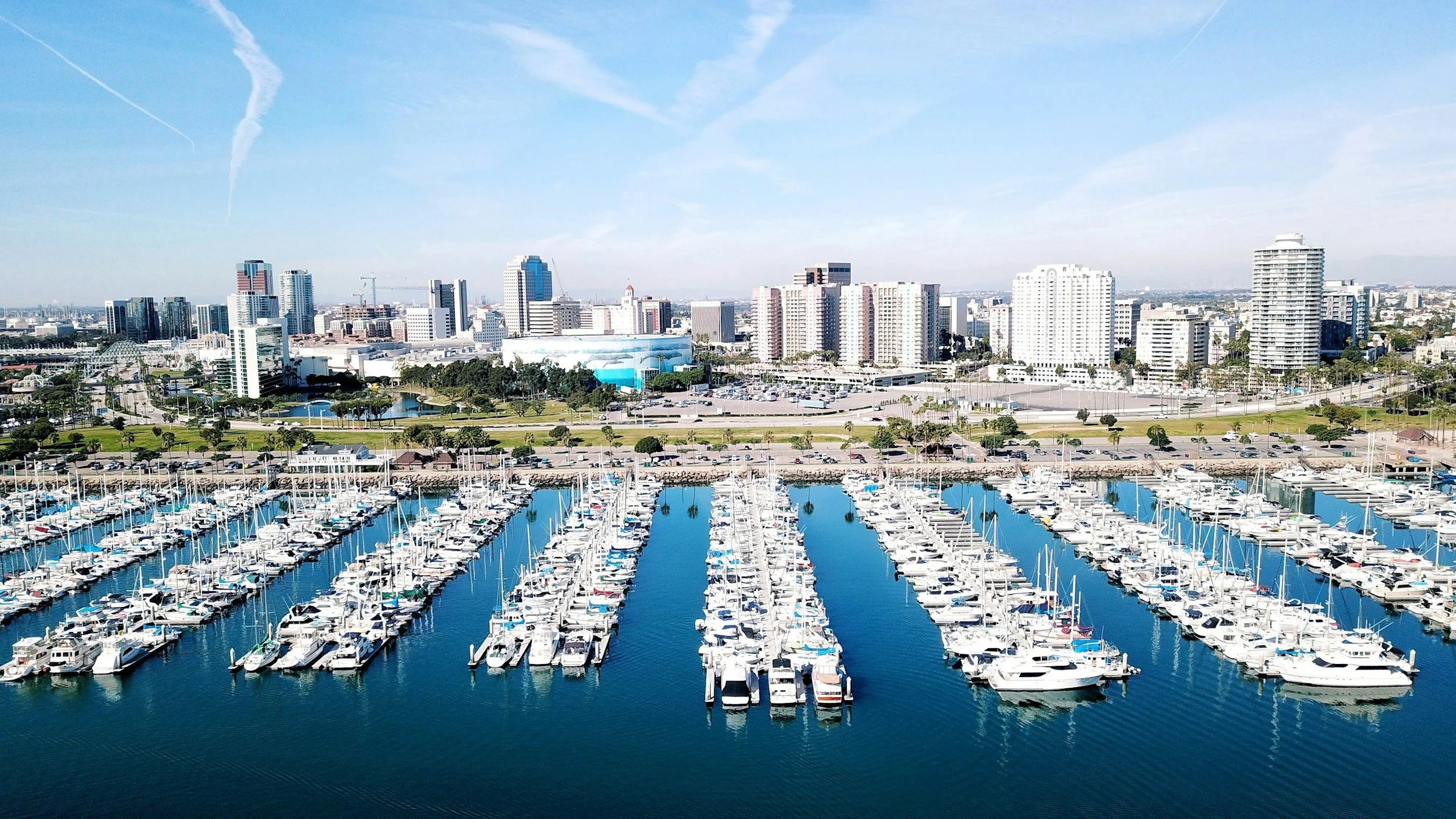 Long Beach Marina with boats and cityscape, representing local bookkeeping services