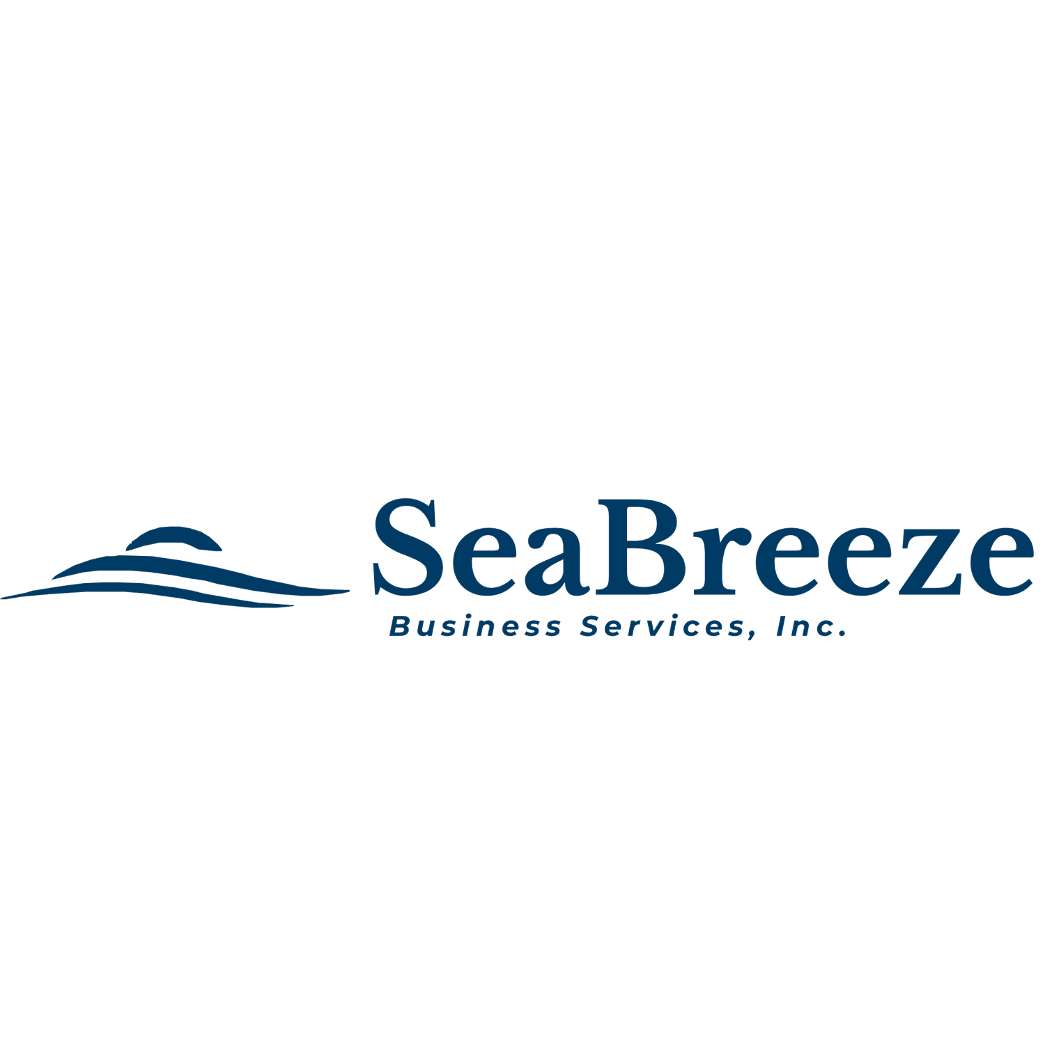 SeaBreeze Business Services, Inc.