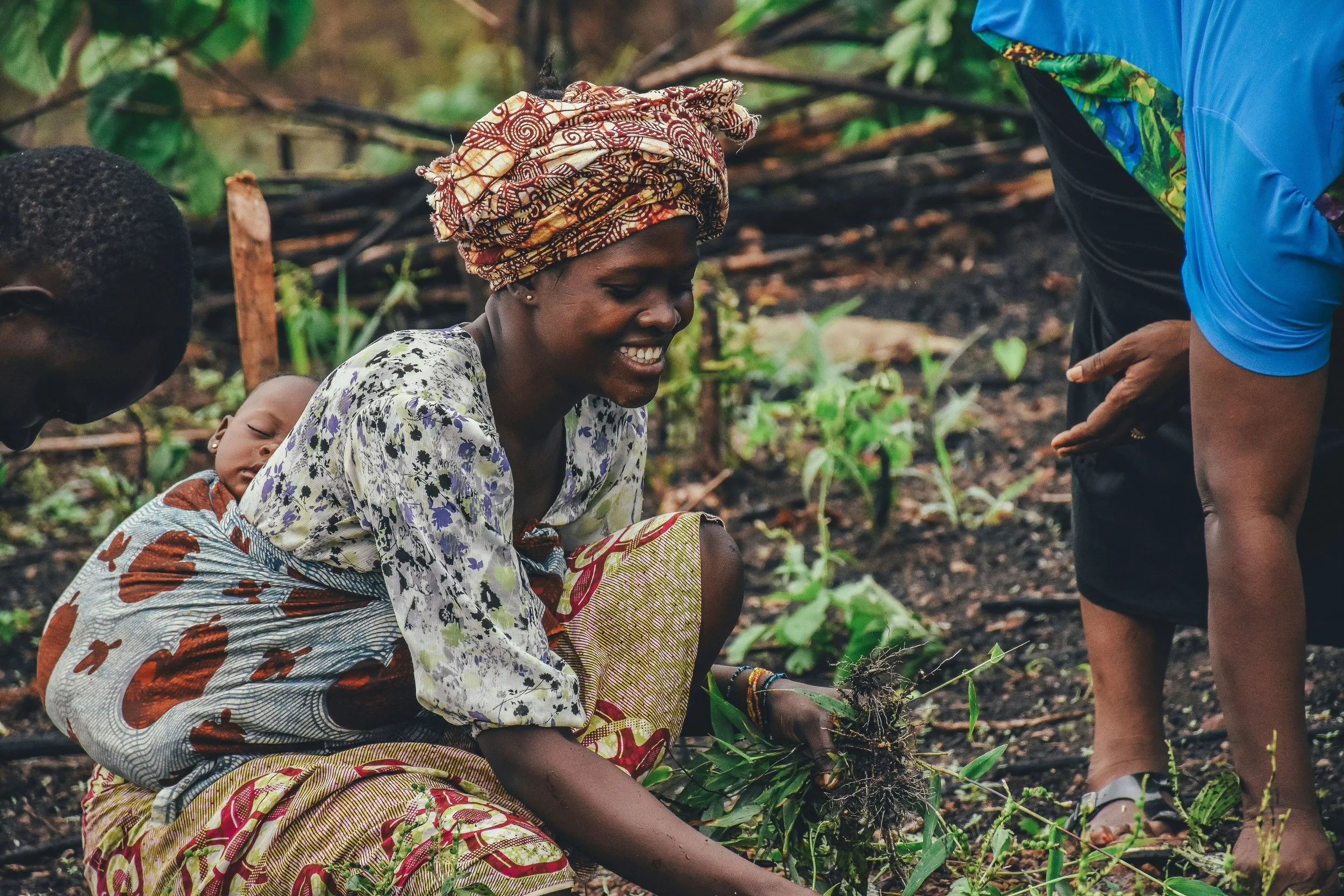 People planting seedlings in a garden or farm, with women wearing colorful clothing and headscarves, working with soil and small plants.