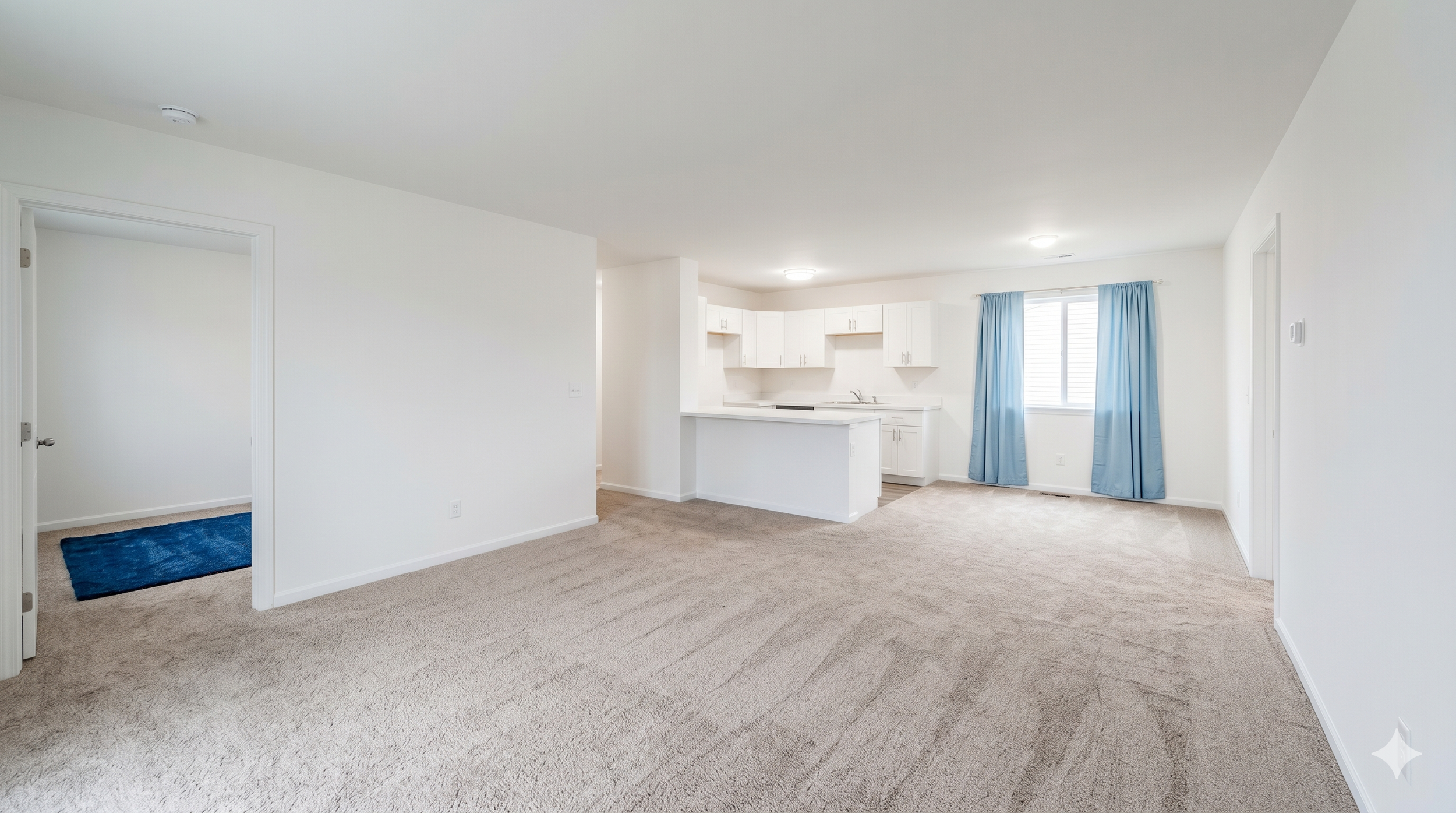 Move In/Out Cleaning