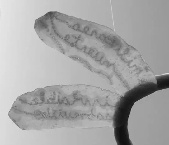 Detalle de grabado de fragmentos de sueños. Instalación de Insectos efímeras con cera de abeja y araucaria.