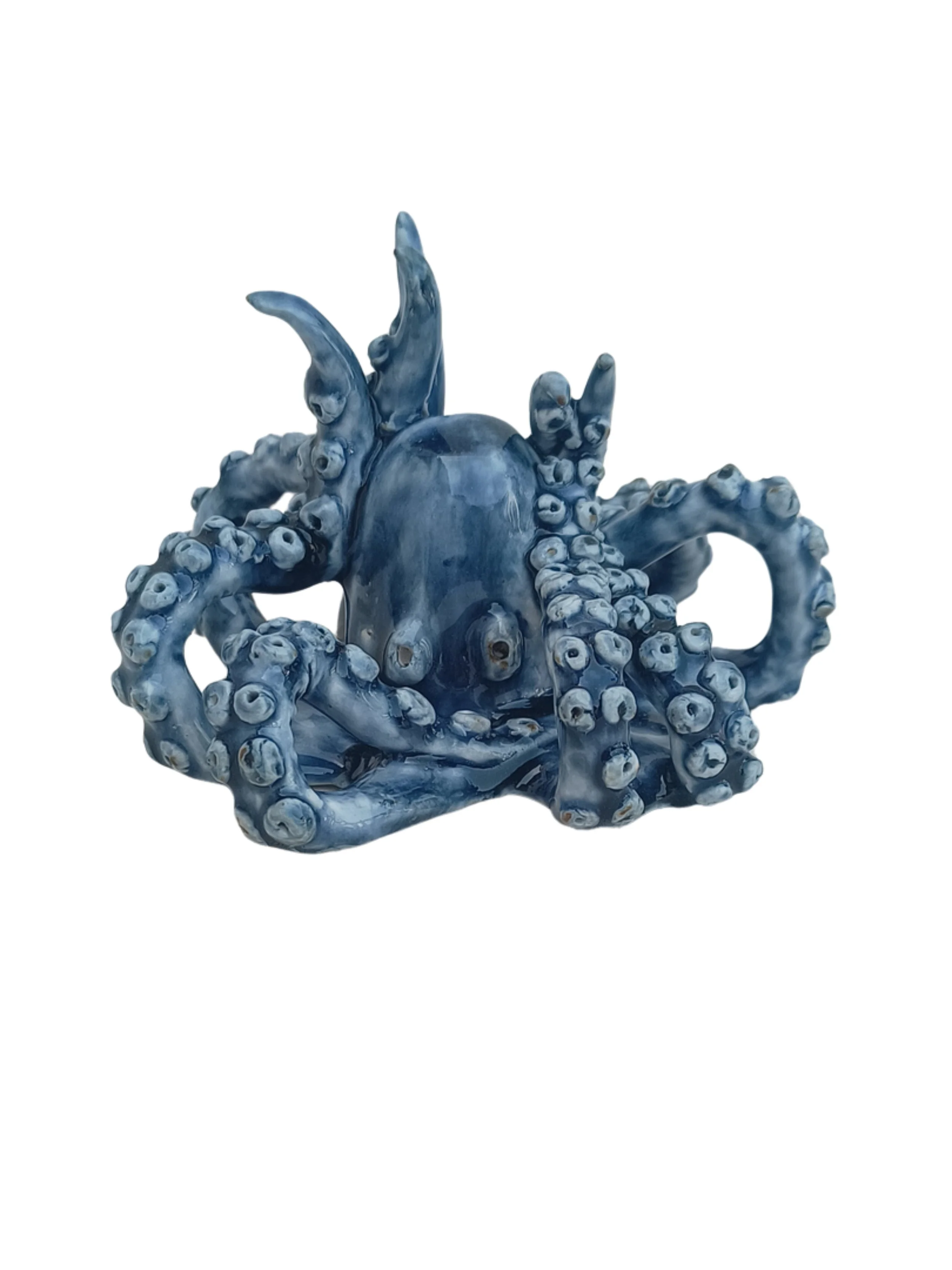 pulpo.jpg