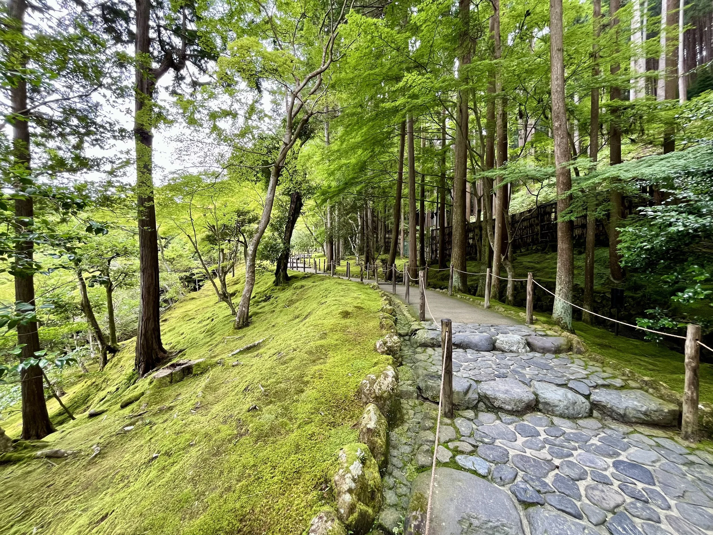 Ginkaku-ji. Kyoto, Japan. Photo by Mike DiGirolamo