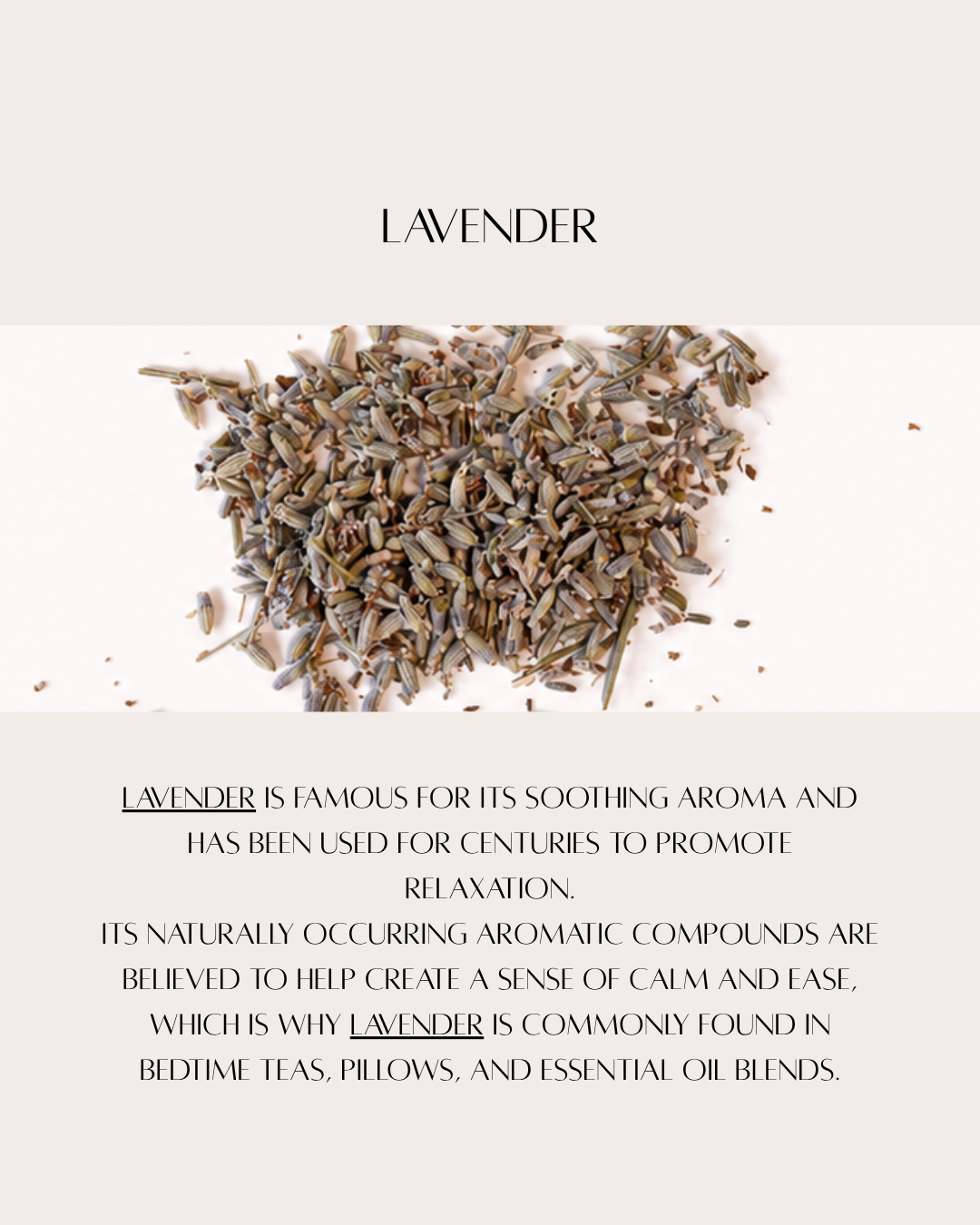 lavender web.png