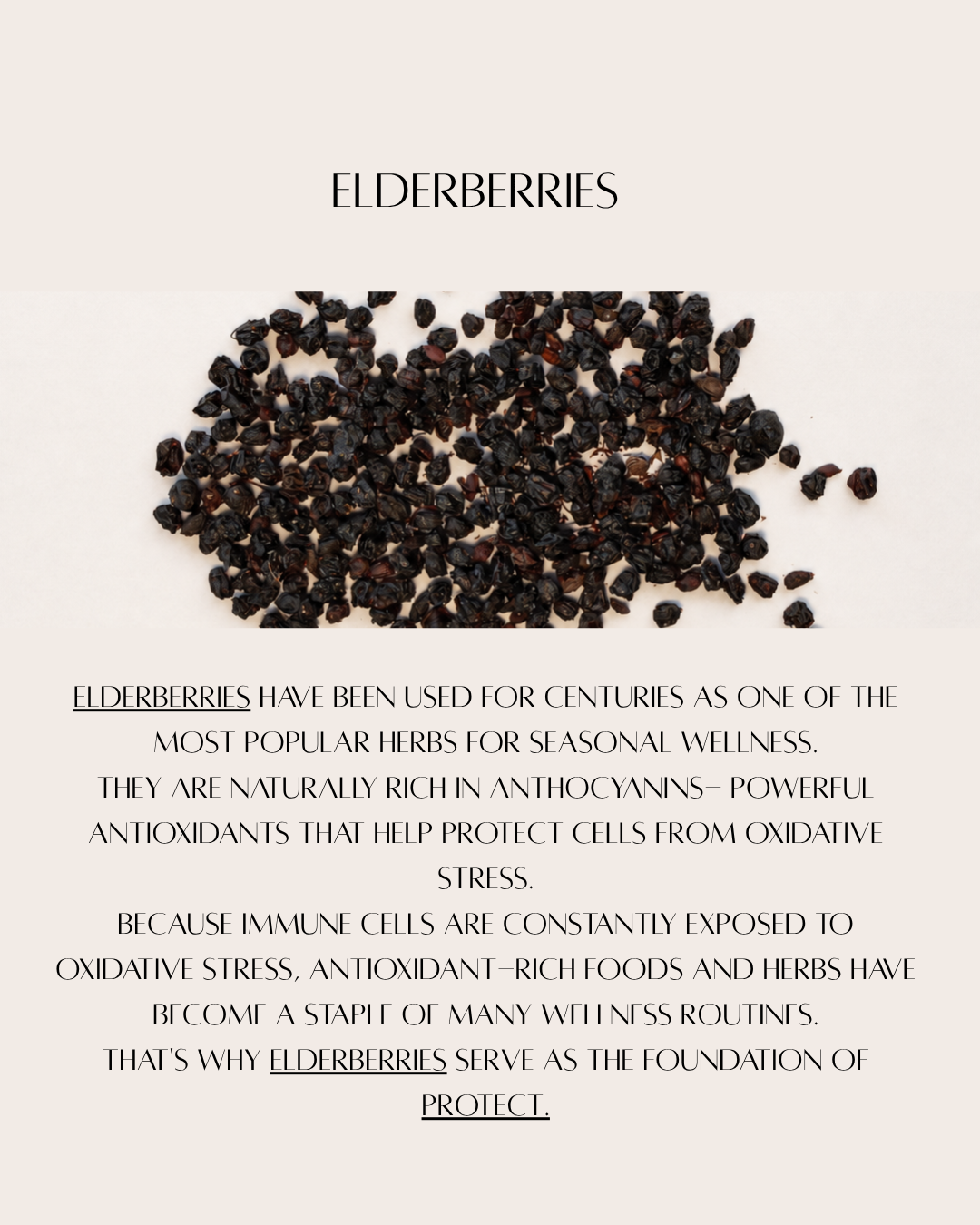 elder web.png
