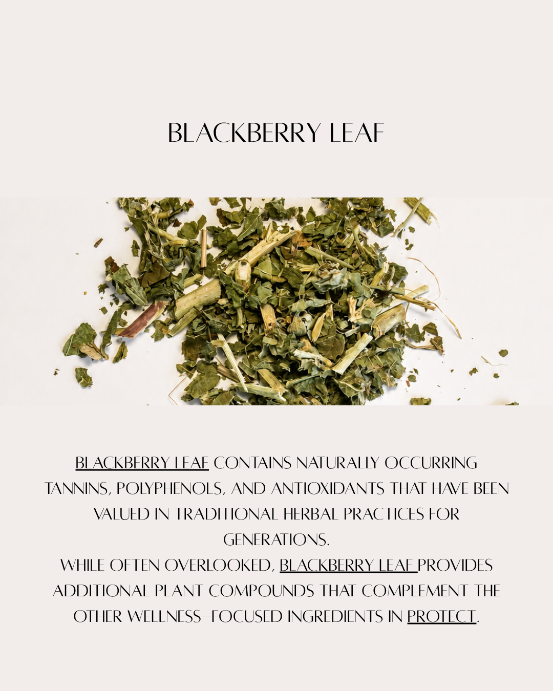 blackberry web.png