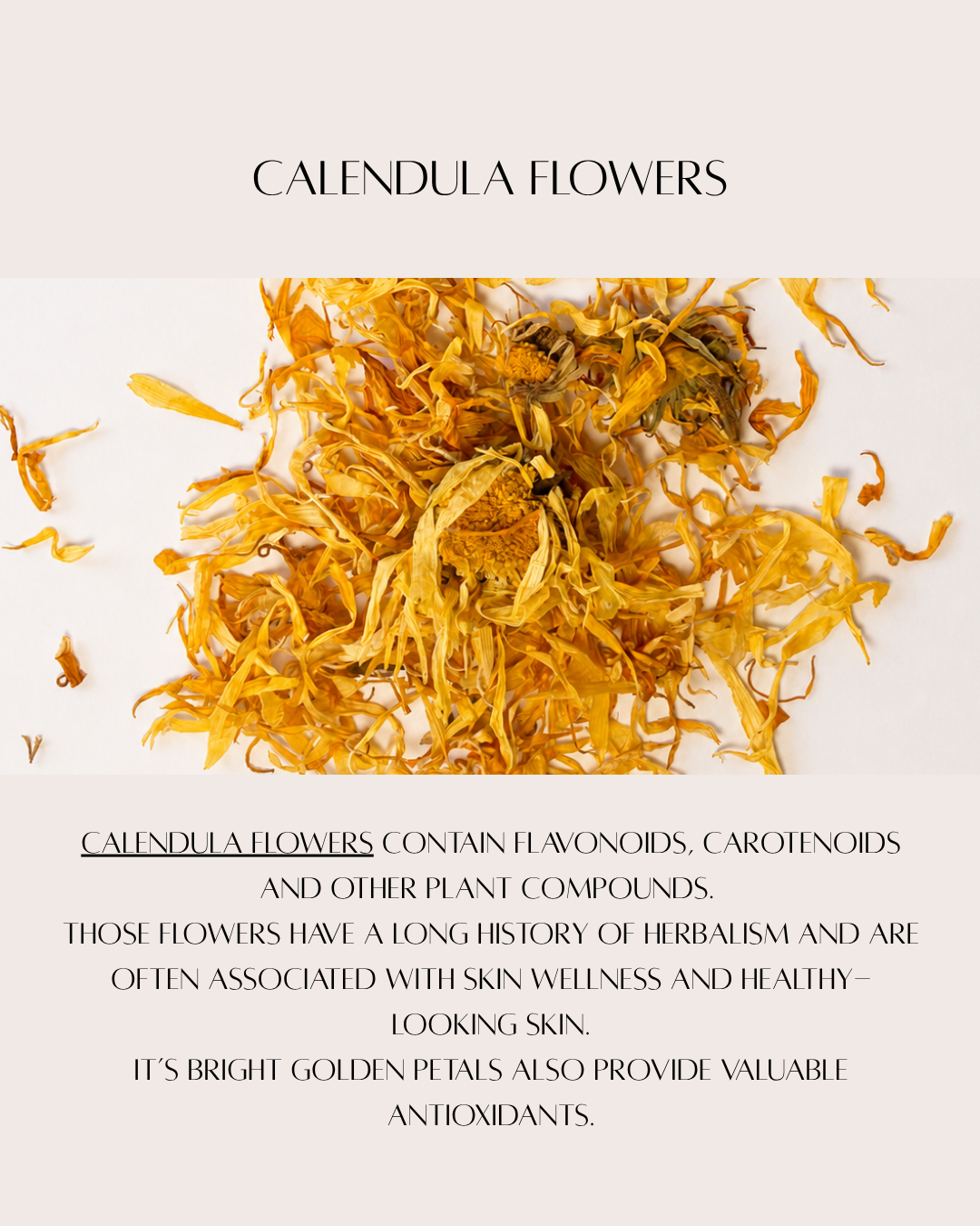 calendulaweb.png
