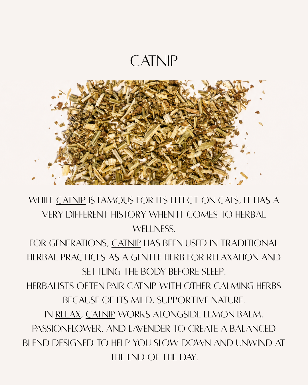 catnip web.png