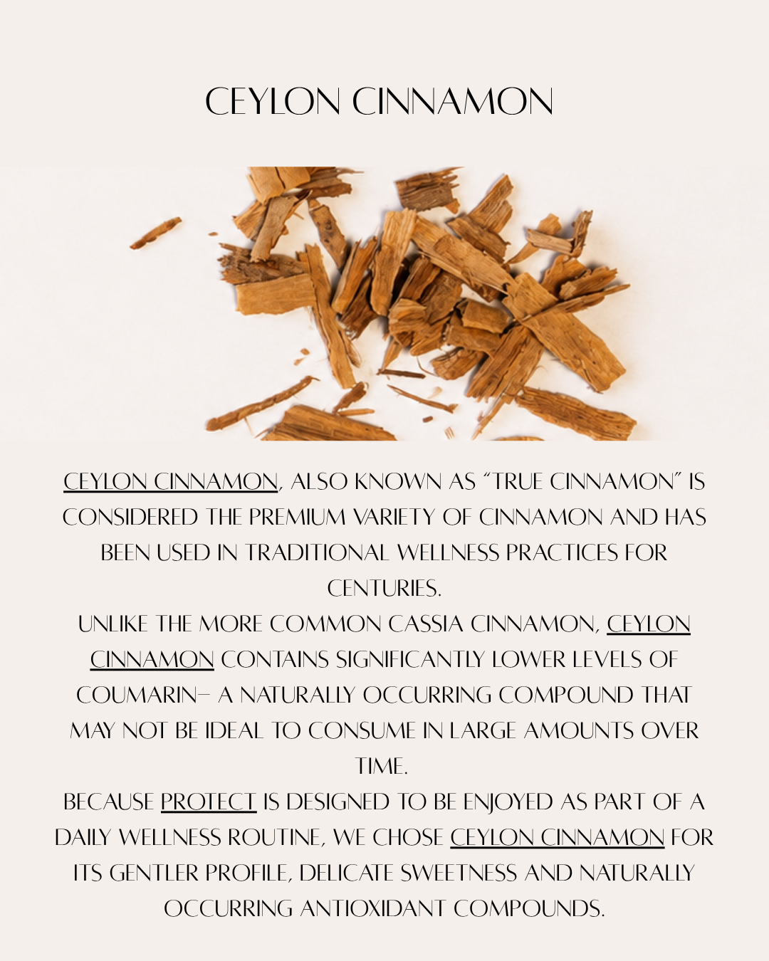 ceylonweb.png