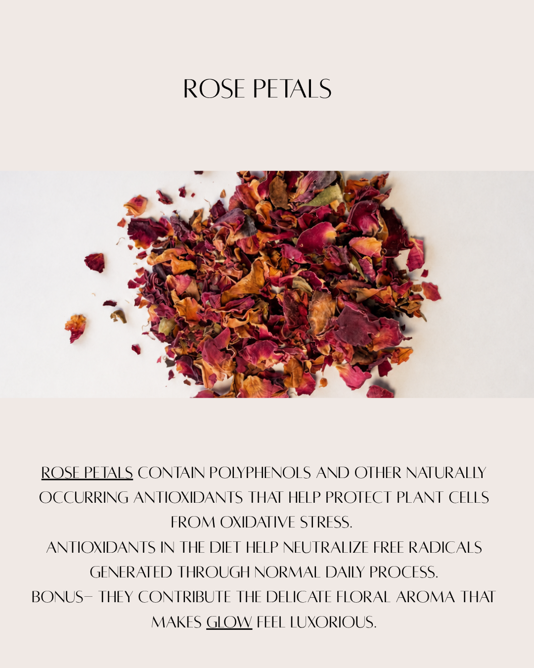 rose web-2.png